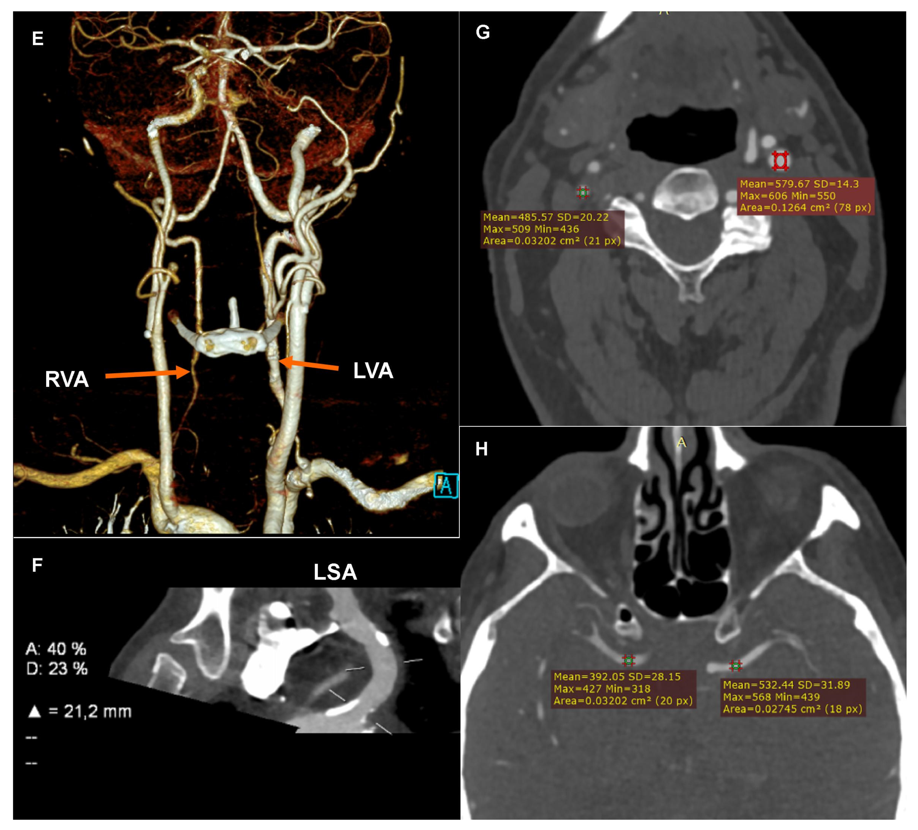 Diagnostics 12 00200 g001b
