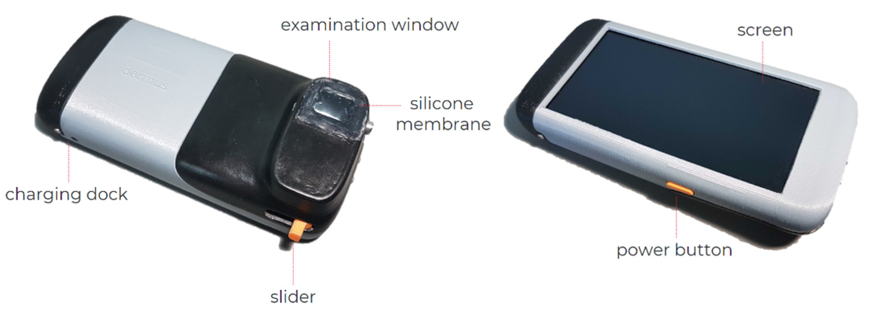 Diagnostics 12 00204 g001 Diagnostics 12 00204 g001