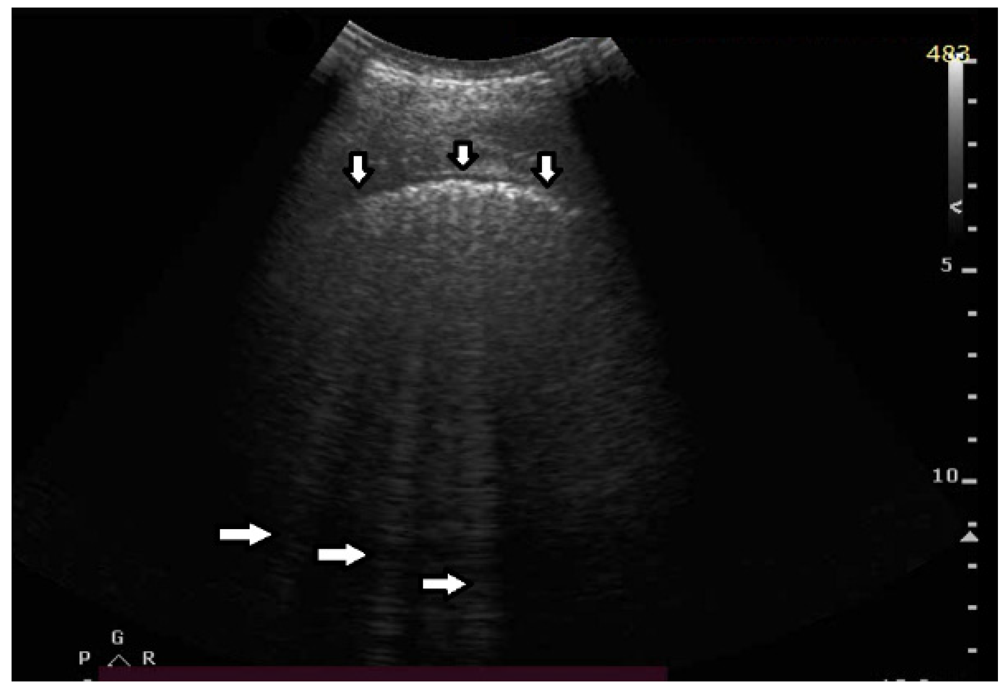 Diagnostics 12 00215 g006
