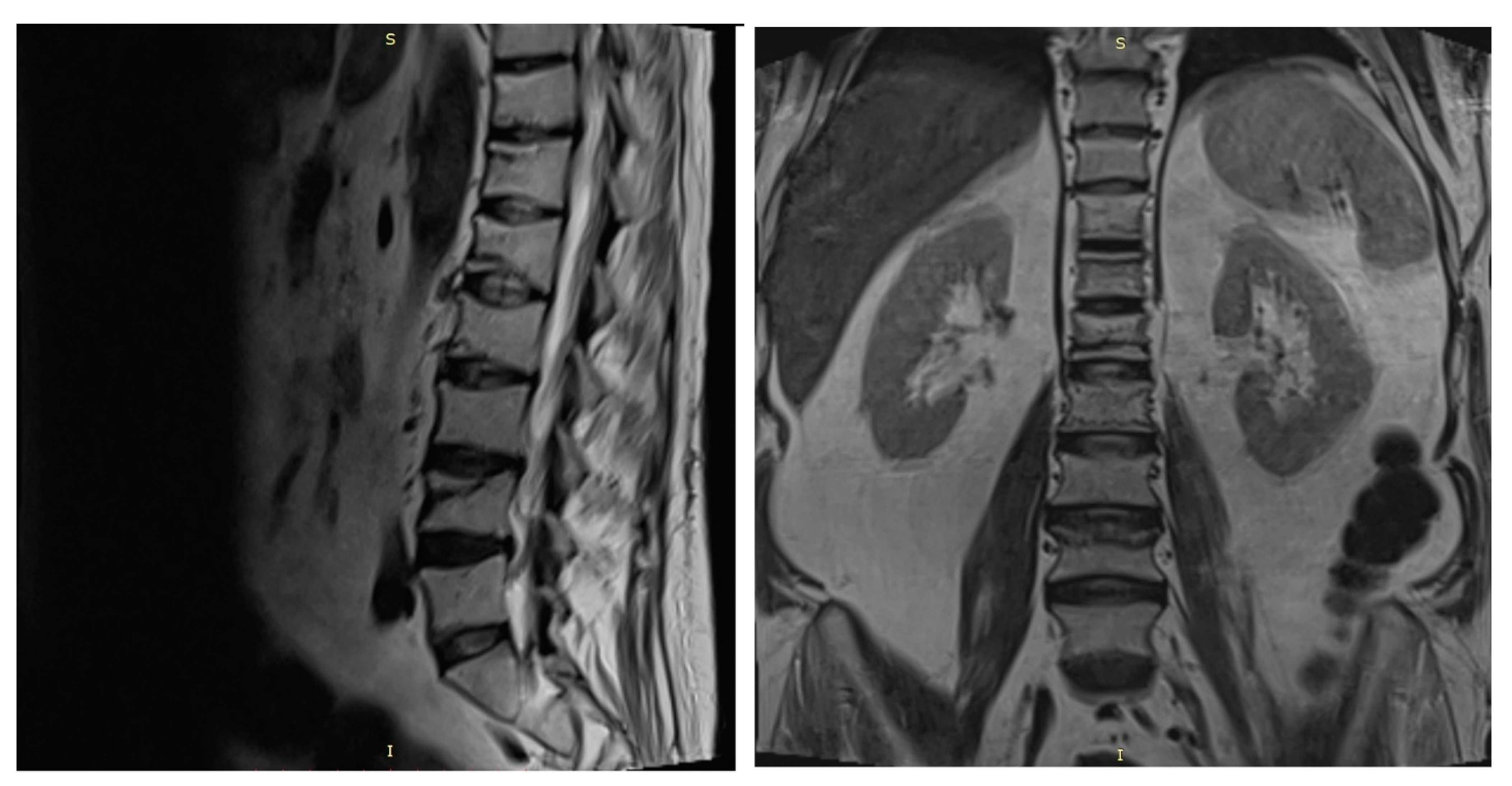 Diagnostics 12 00216 g004