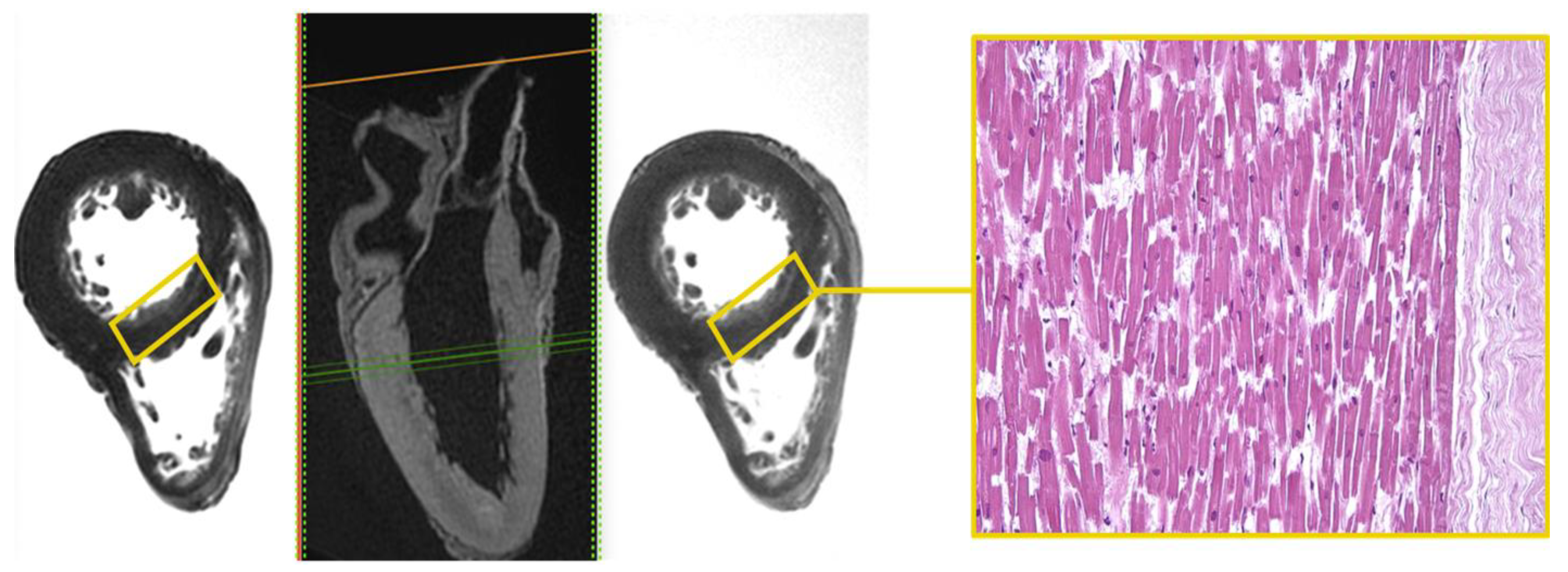 Diagnostics 12 00218 g001