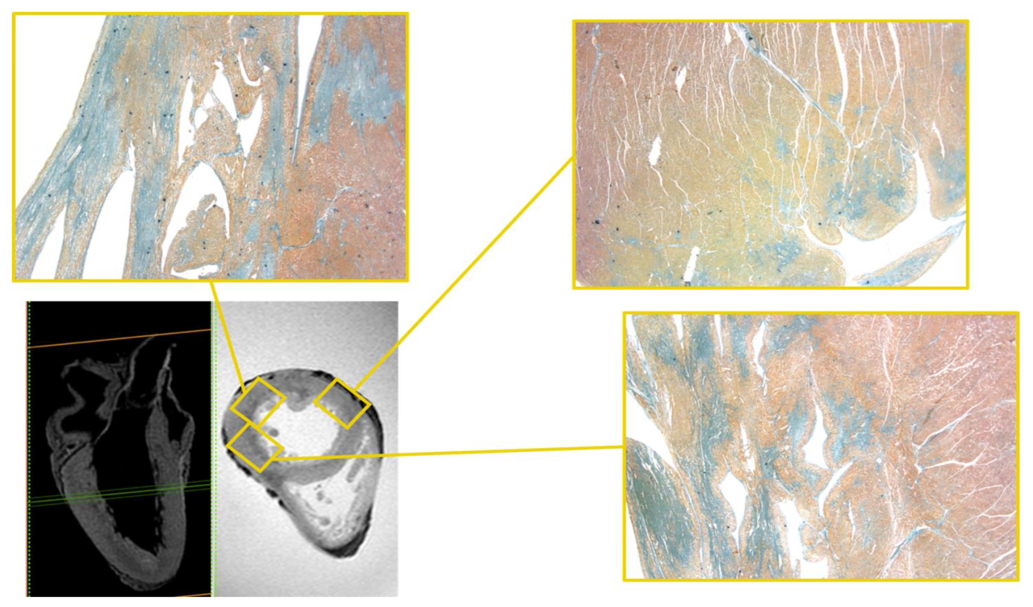 Diagnostics 12 00218 g002