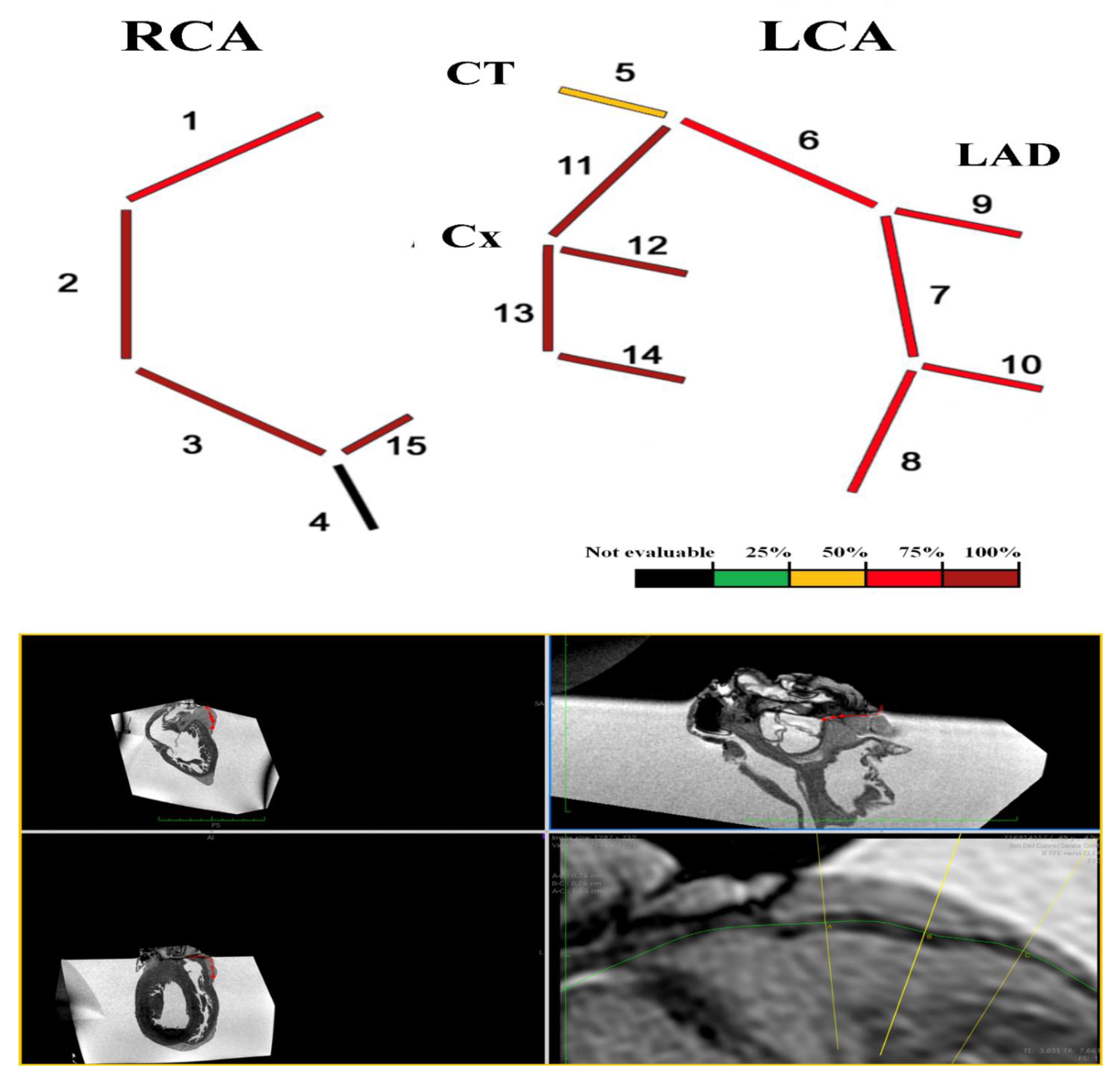 Diagnostics 12 00218 g003