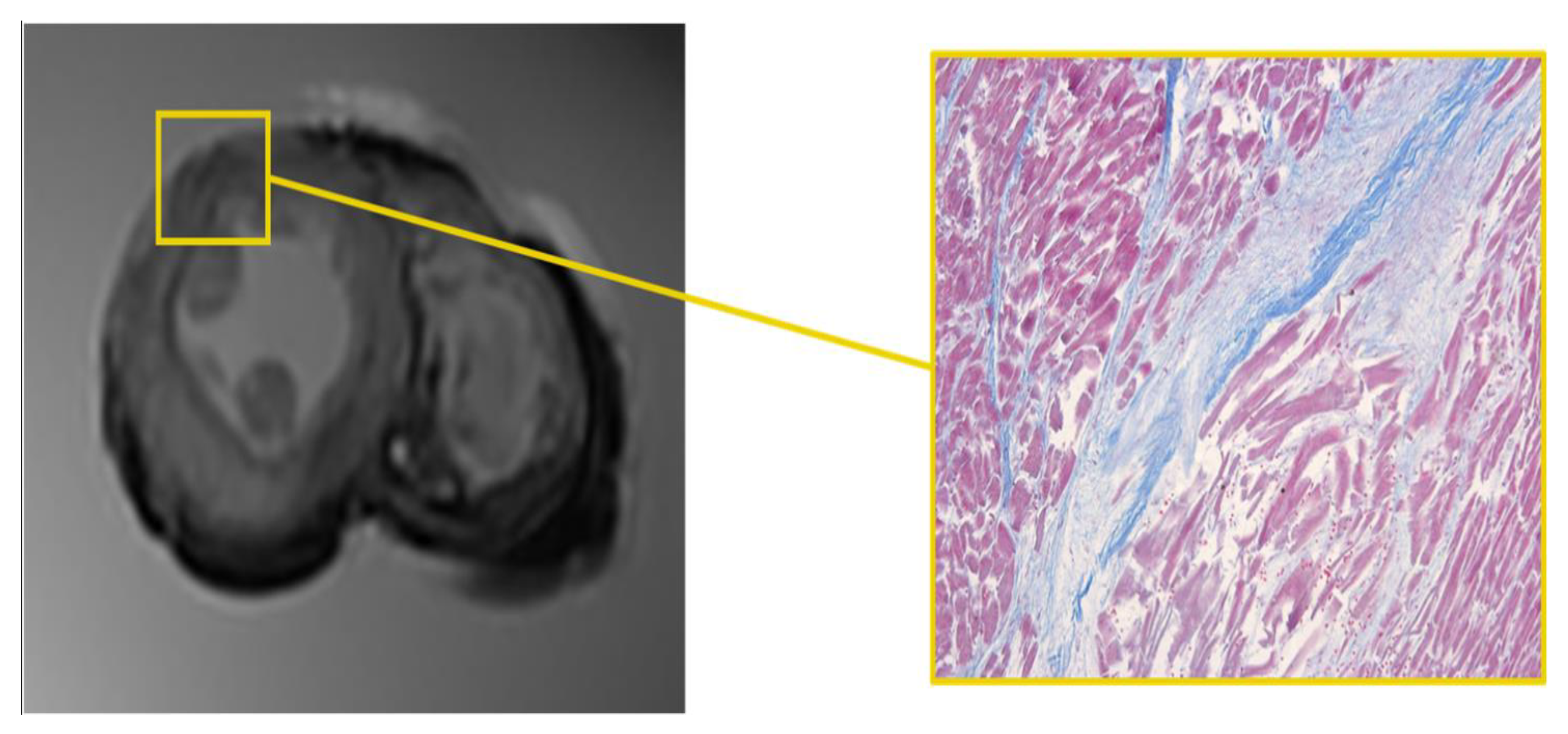 Diagnostics 12 00218 g005