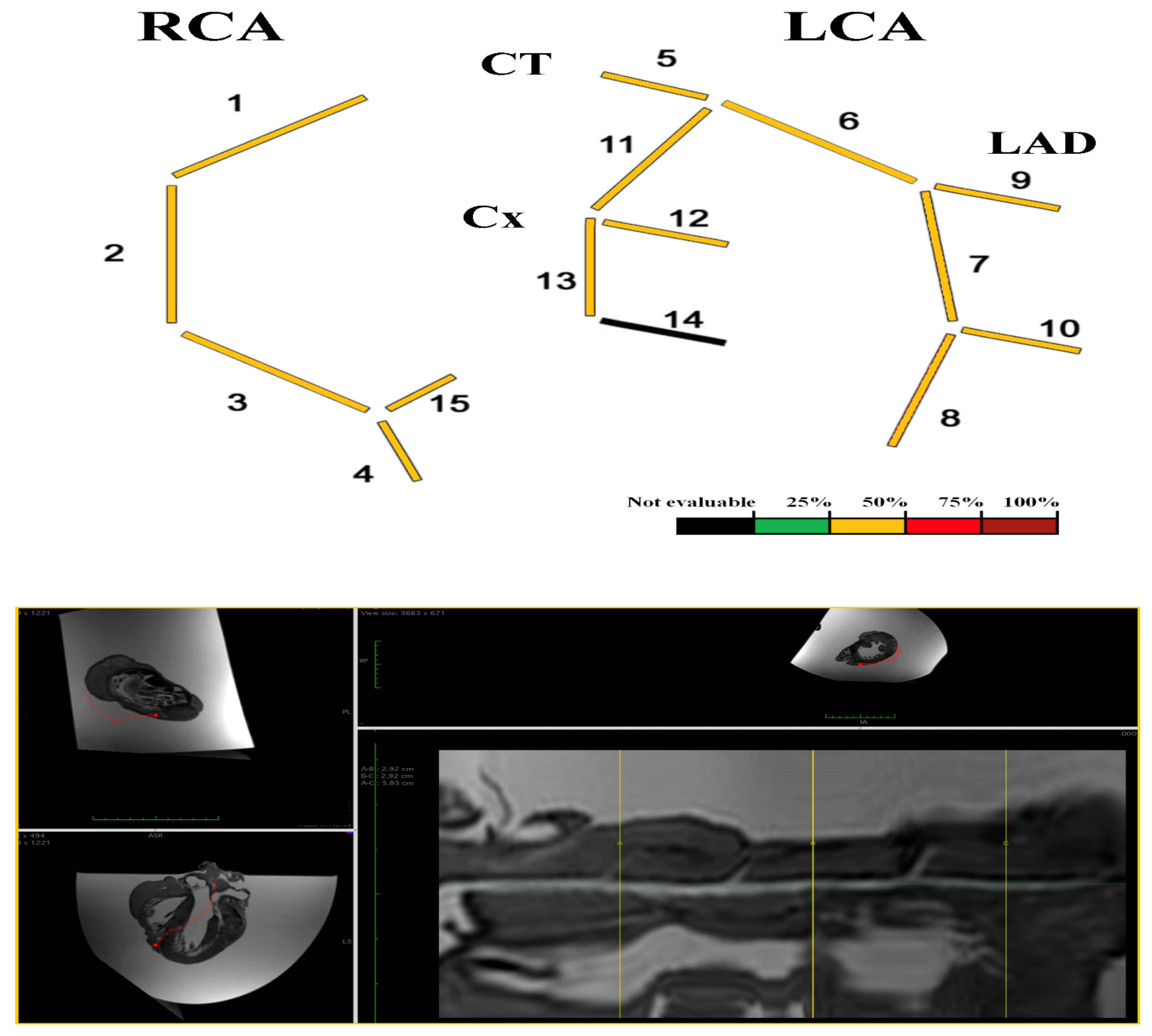 Diagnostics 12 00218 g006