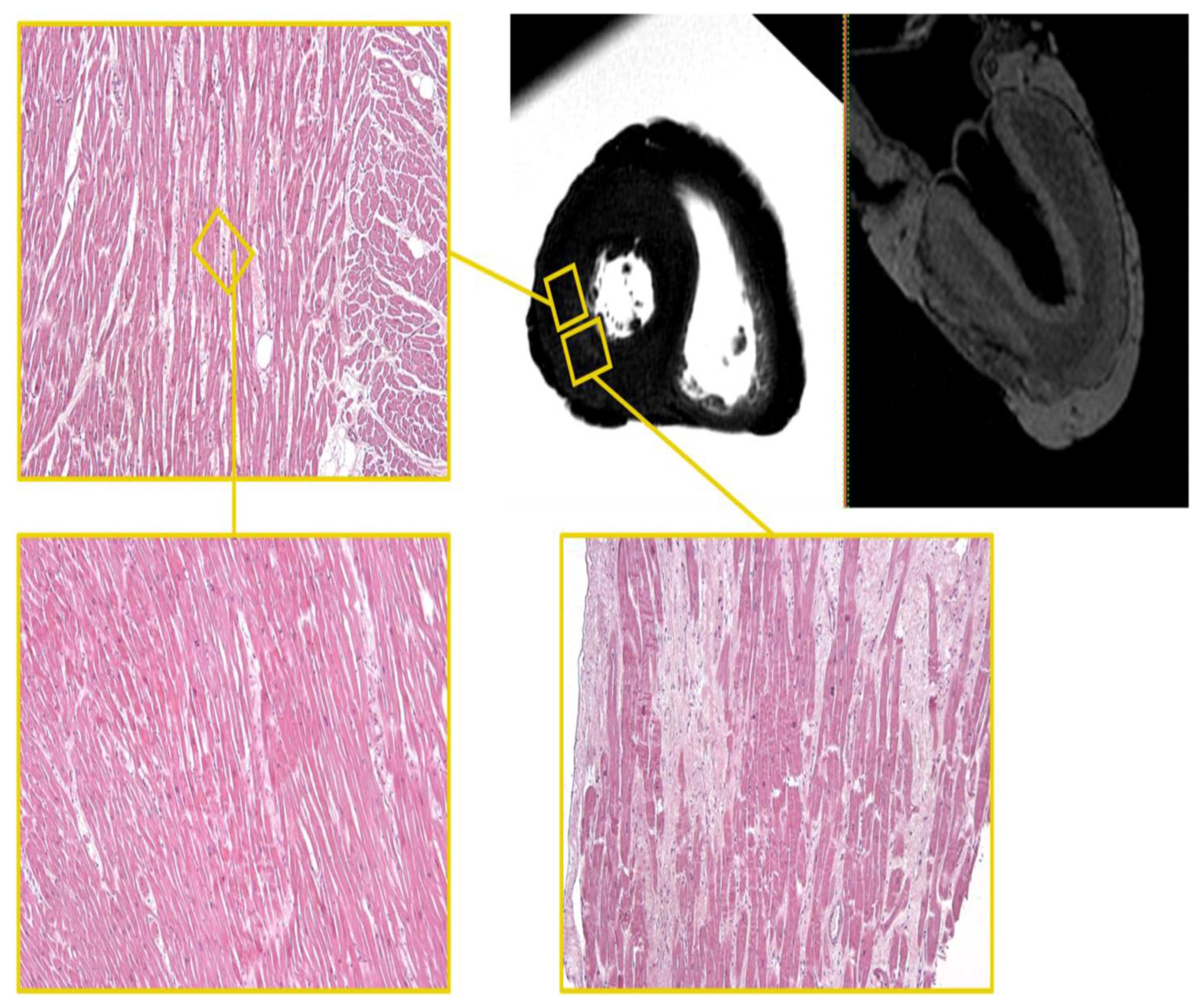Diagnostics 12 00218 g007