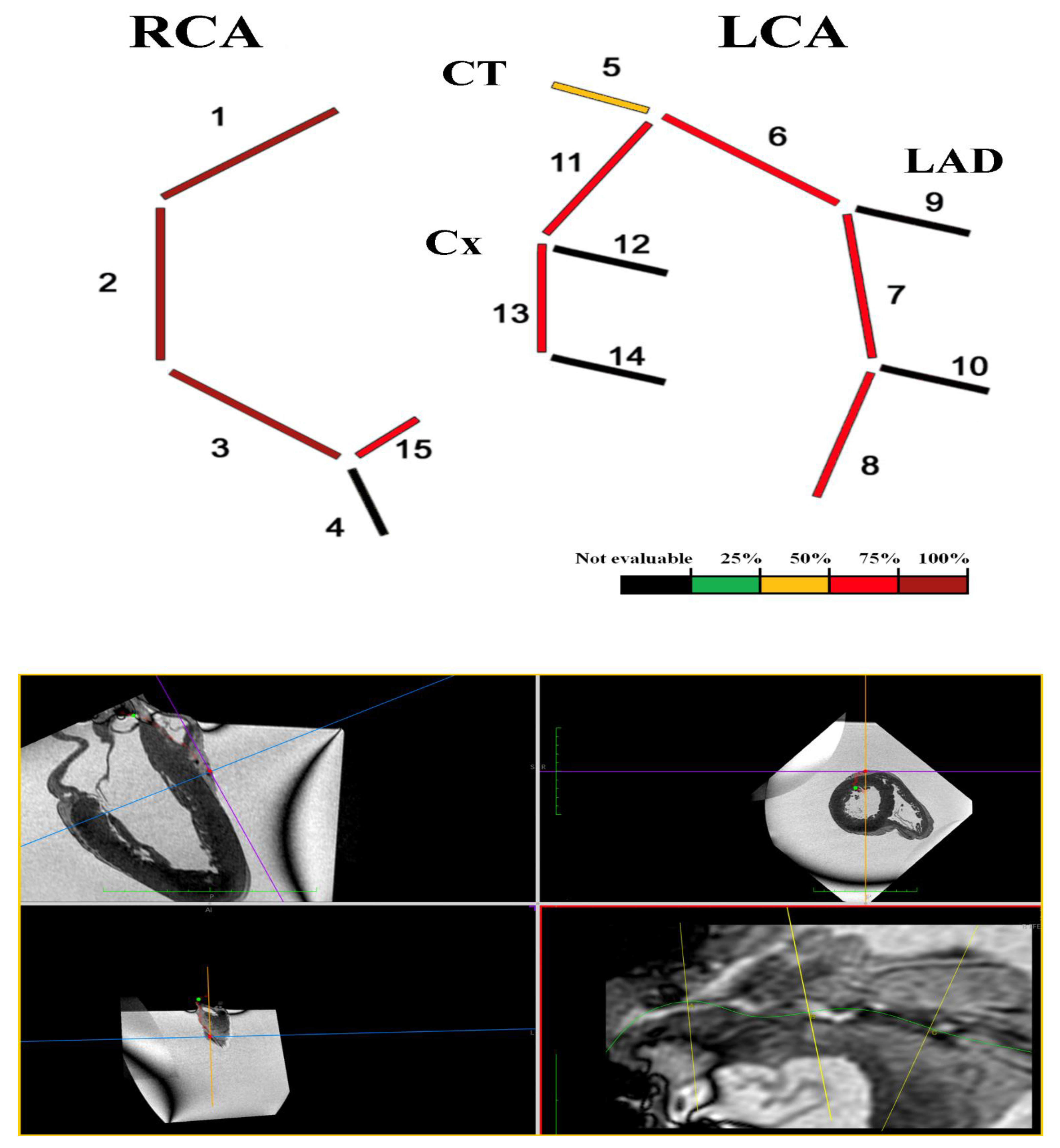 Diagnostics 12 00218 g008