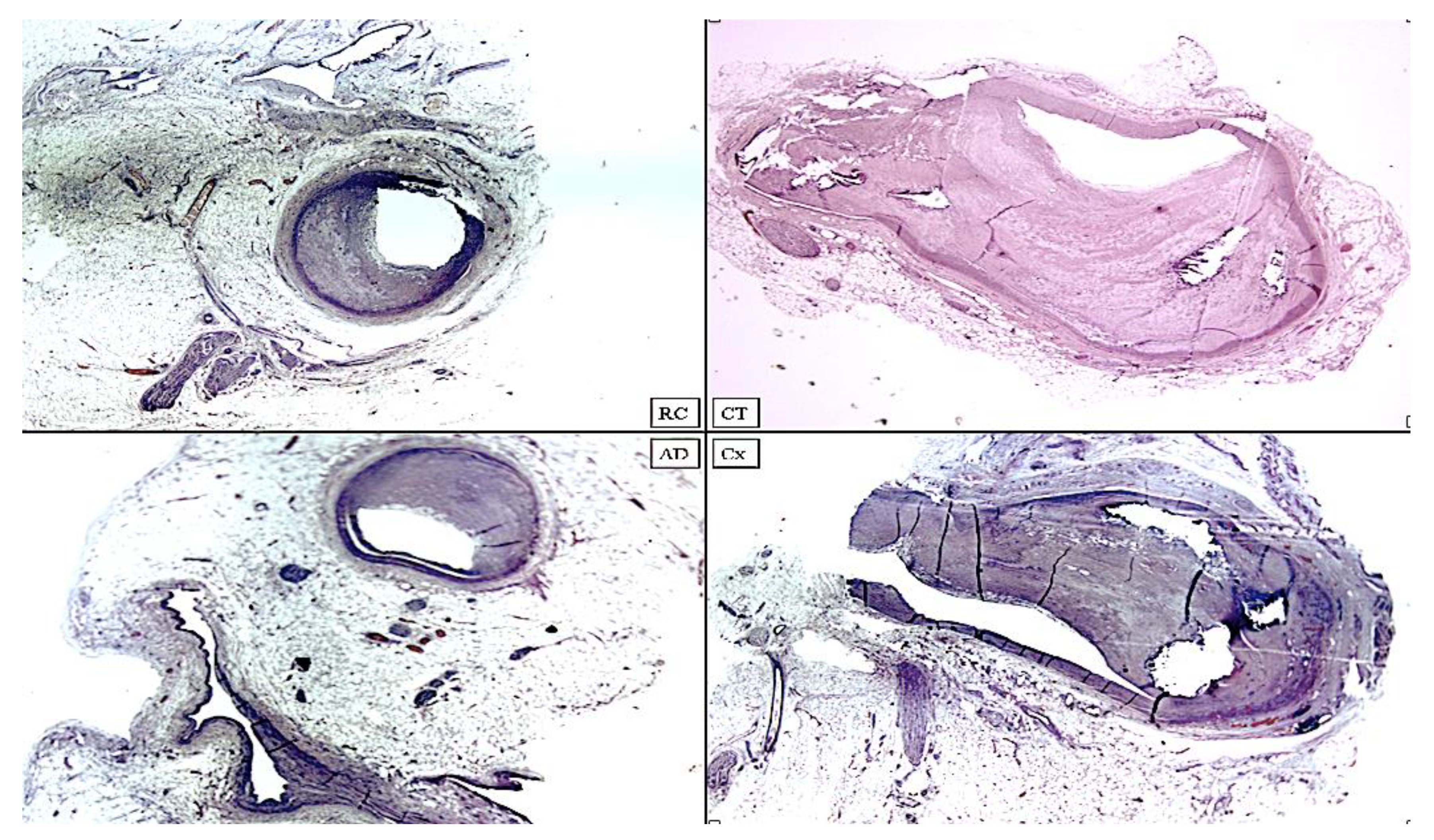 Diagnostics 12 00218 g009