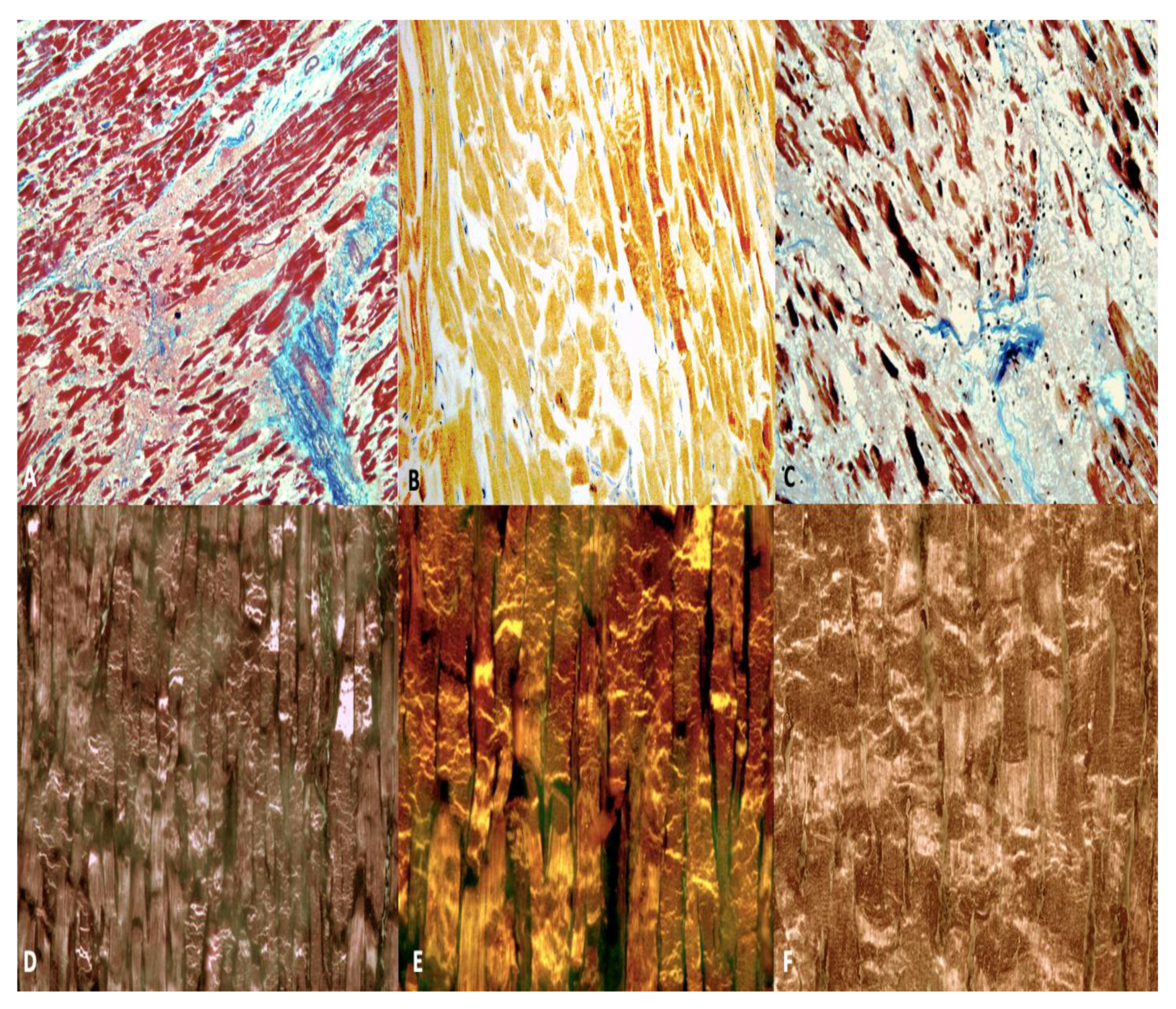 Diagnostics 12 00218 g010