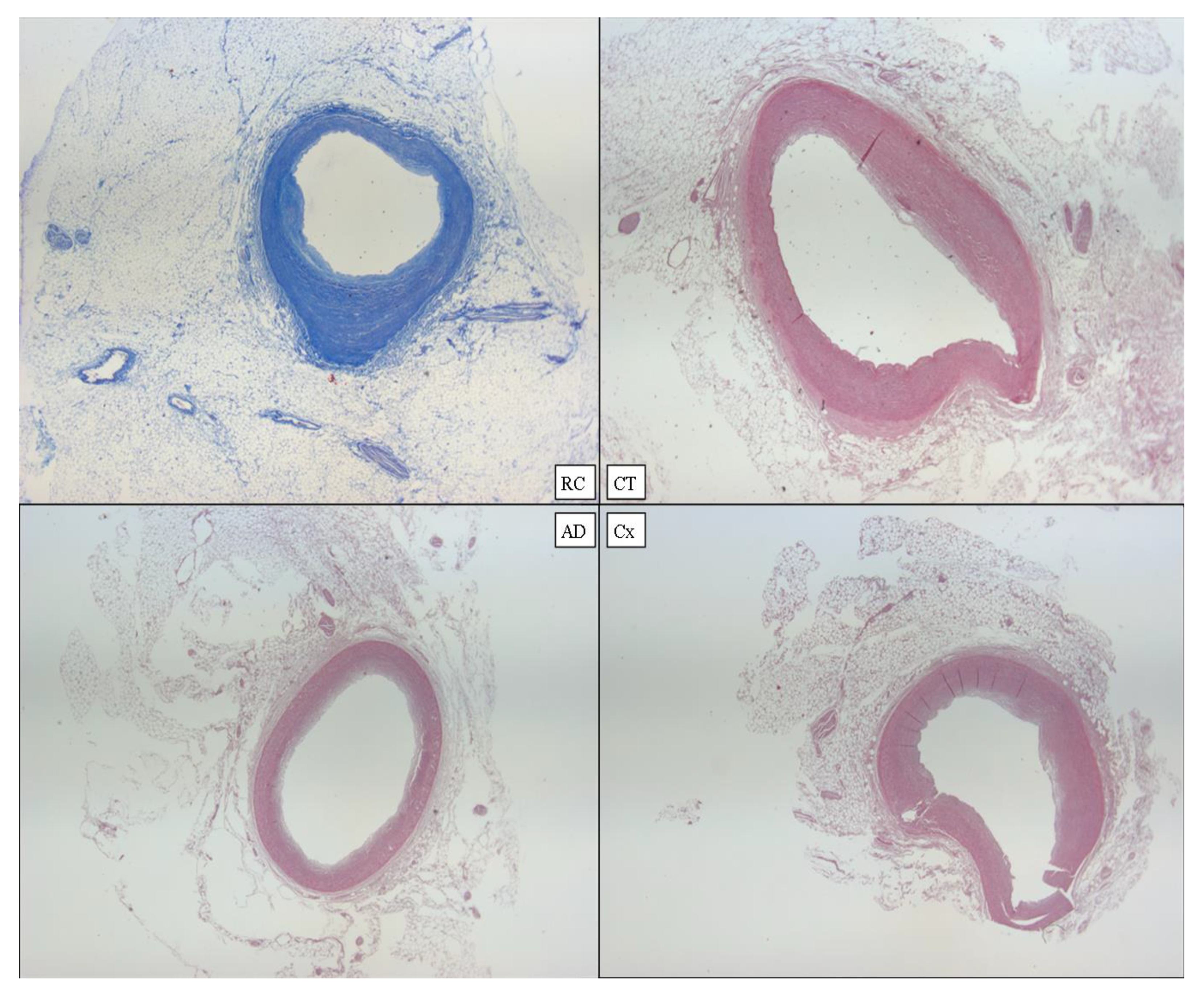 Diagnostics 12 00218 g011