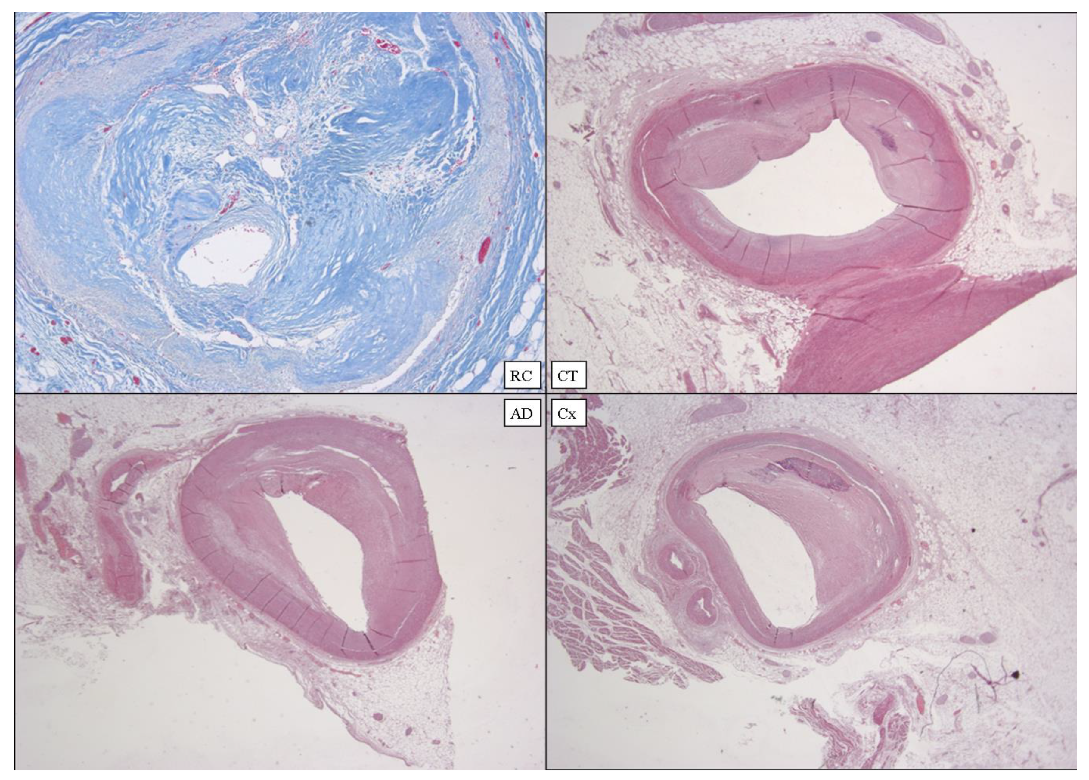 Diagnostics 12 00218 g012