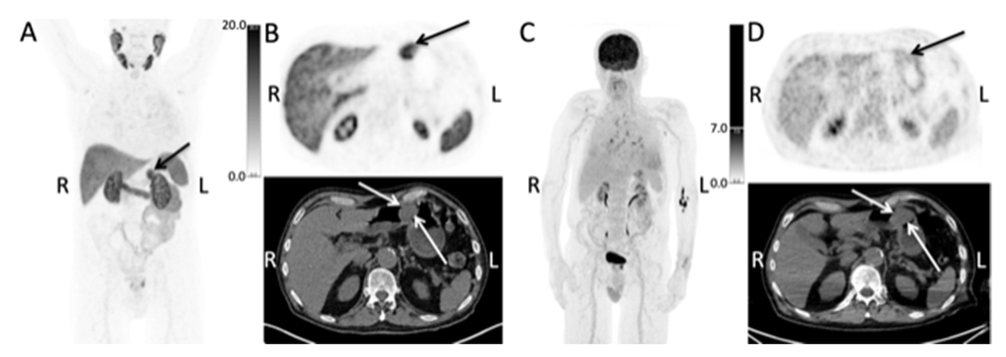 Diagnostics 12 00227 g001