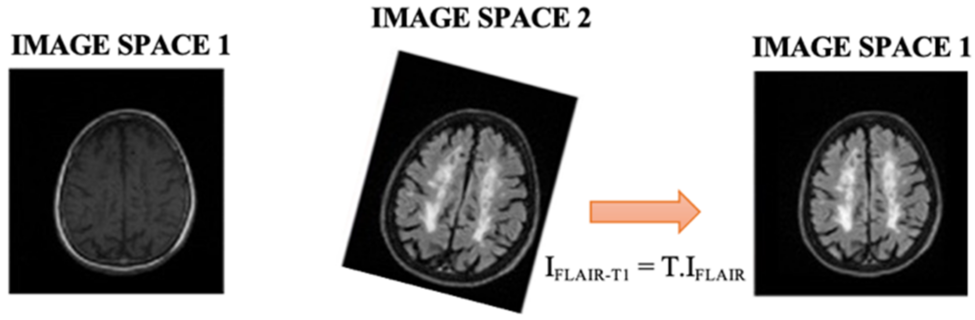 Diagnostics 12 00230 g003