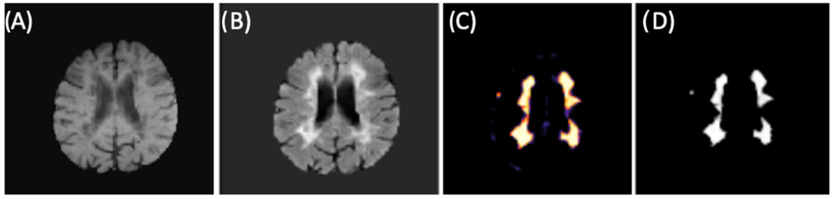 Diagnostics 12 00230 g009