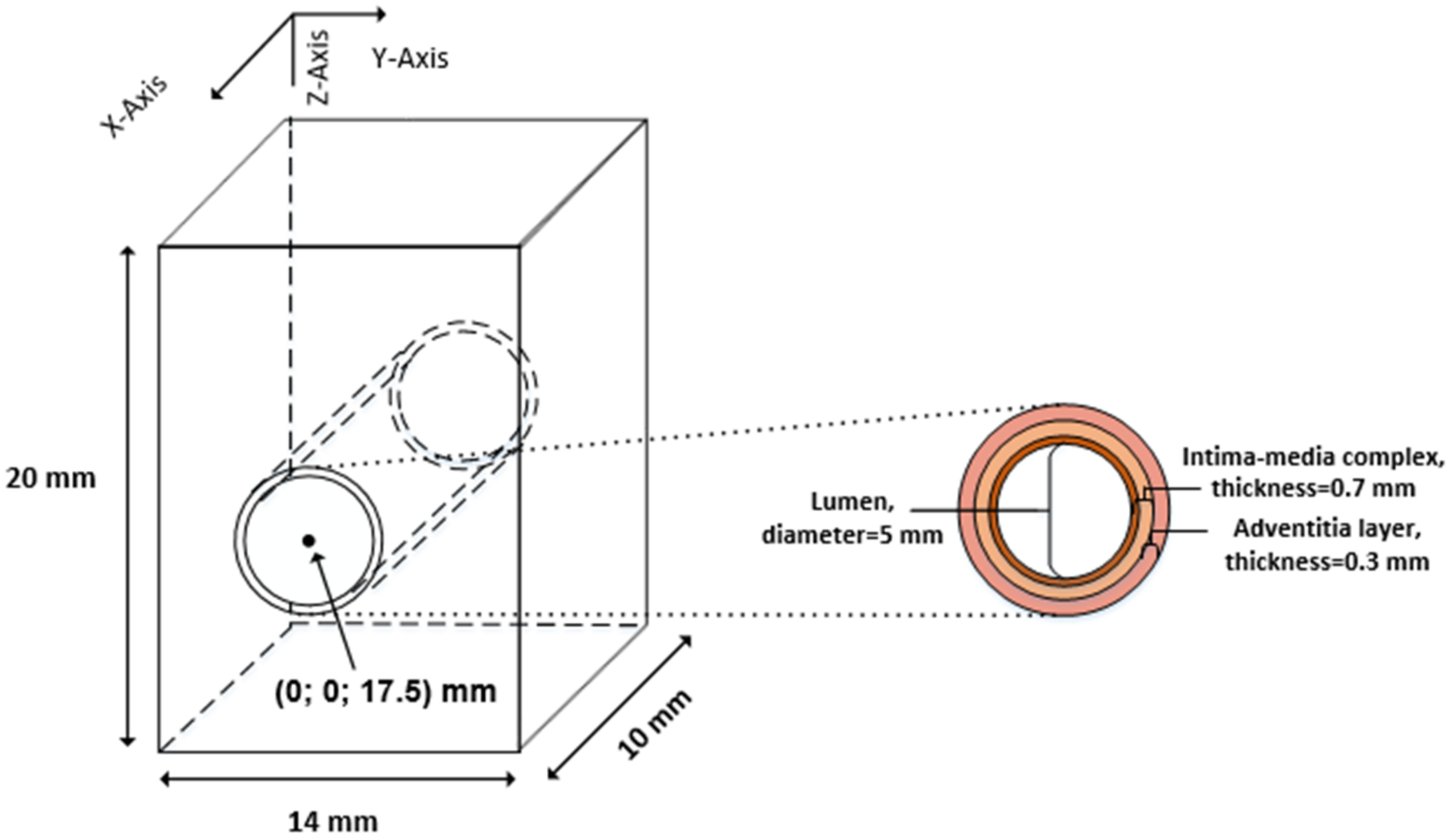 Diagnostics 12 00232 g002