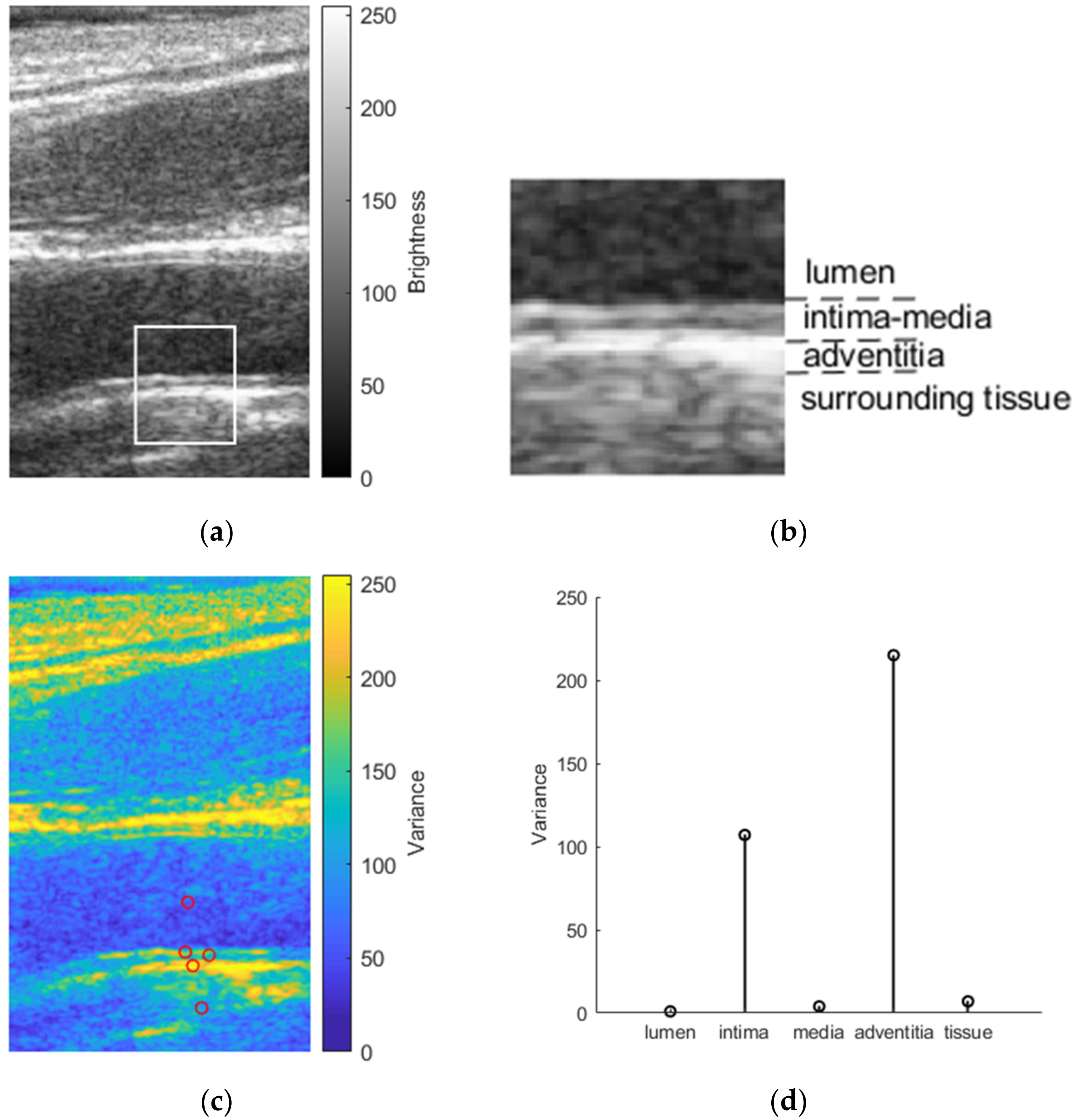 Diagnostics 12 00232 g003