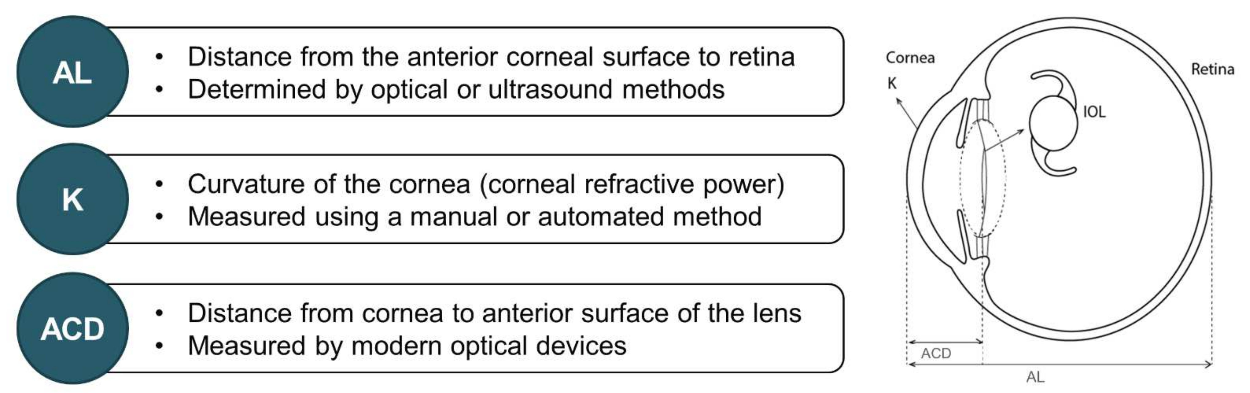Diagnostics 12 00243 g002