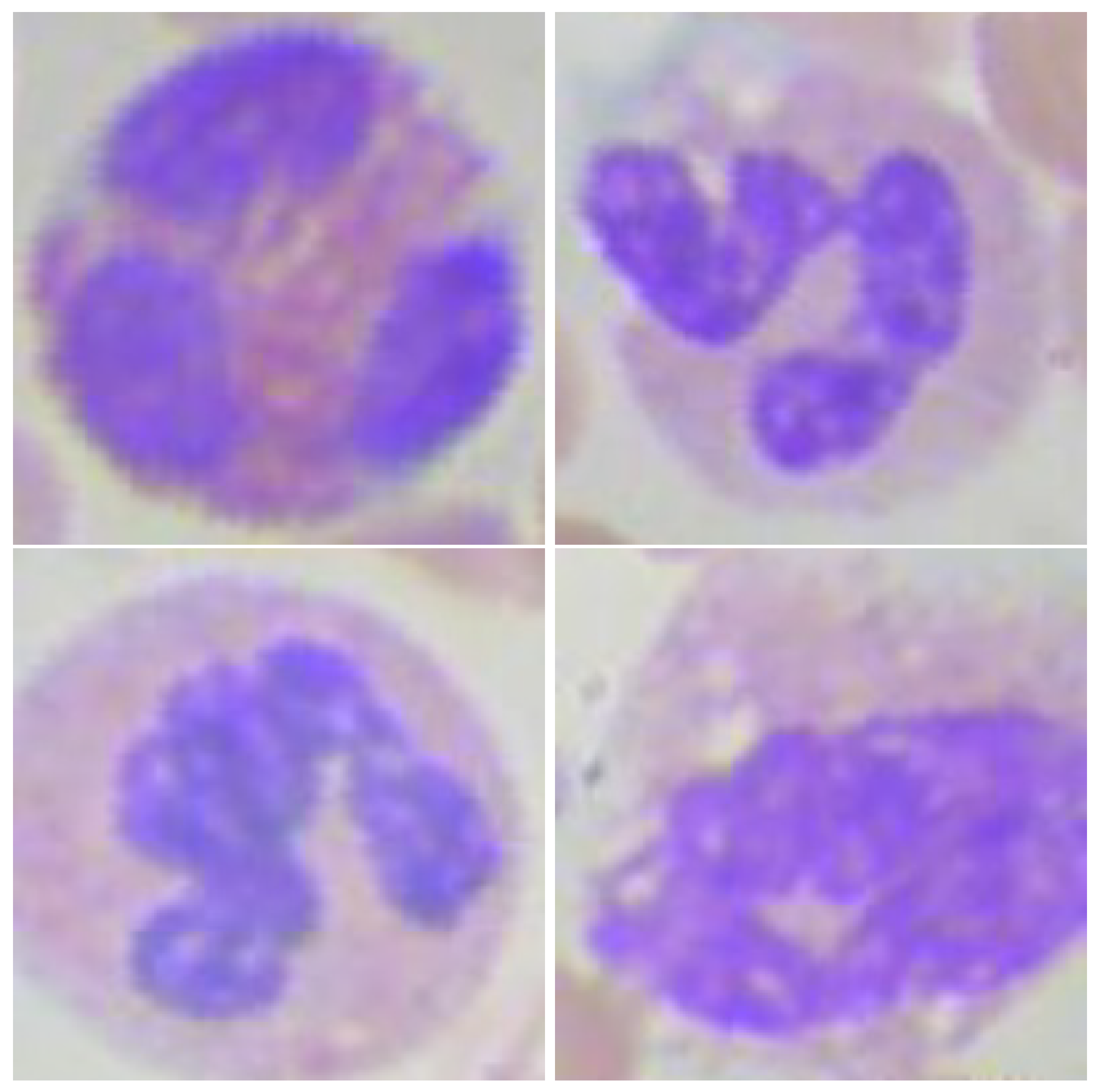 Diagnostics 12 00248 g005