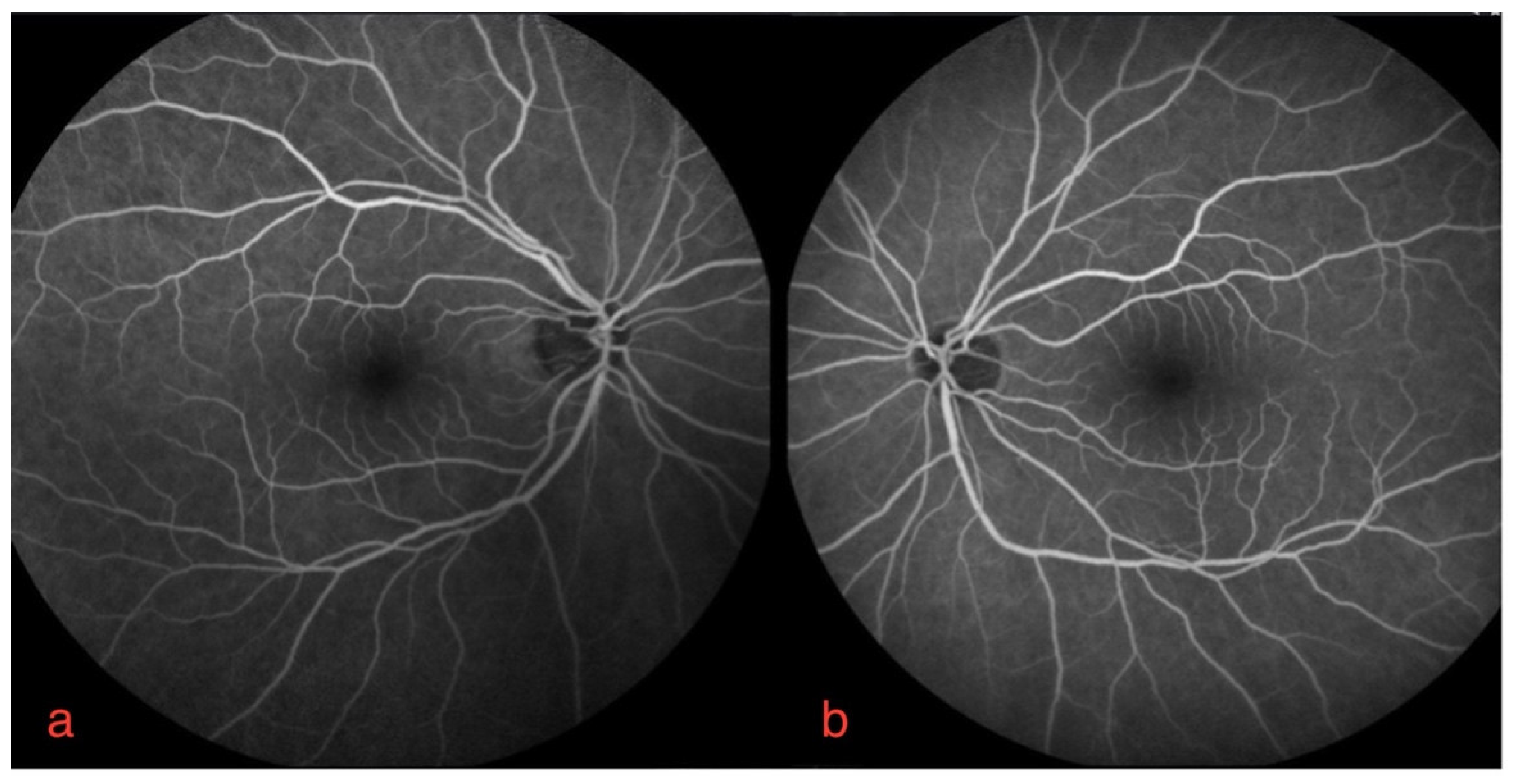 Diagnostics 12 00249 g002