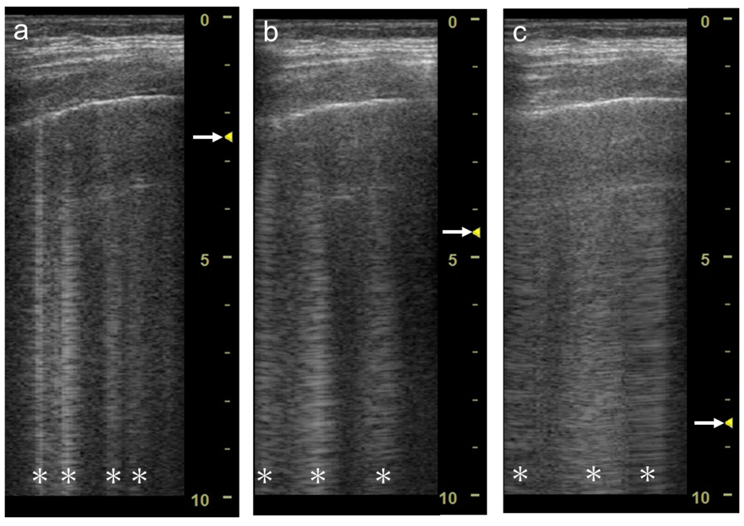 Diagnostics 12 00252 g008
