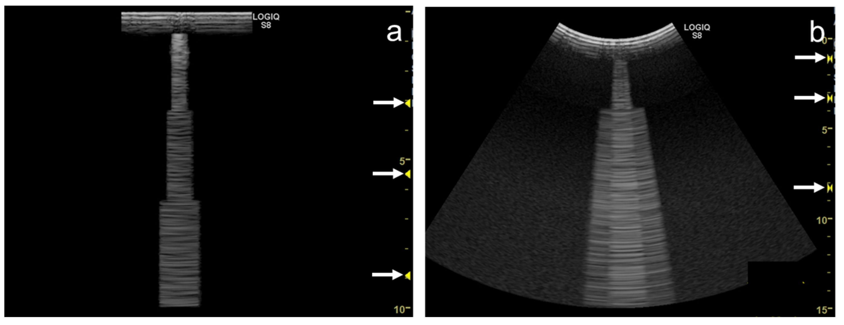 Diagnostics 12 00252 g014