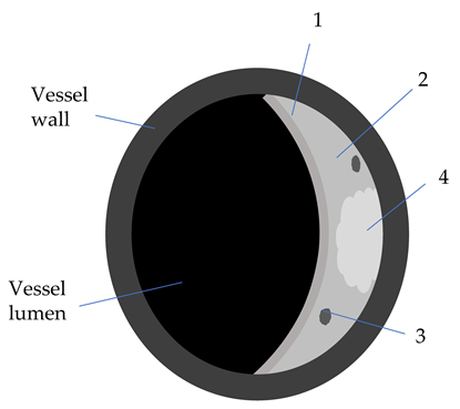 Diagnostics 12 00258 i002