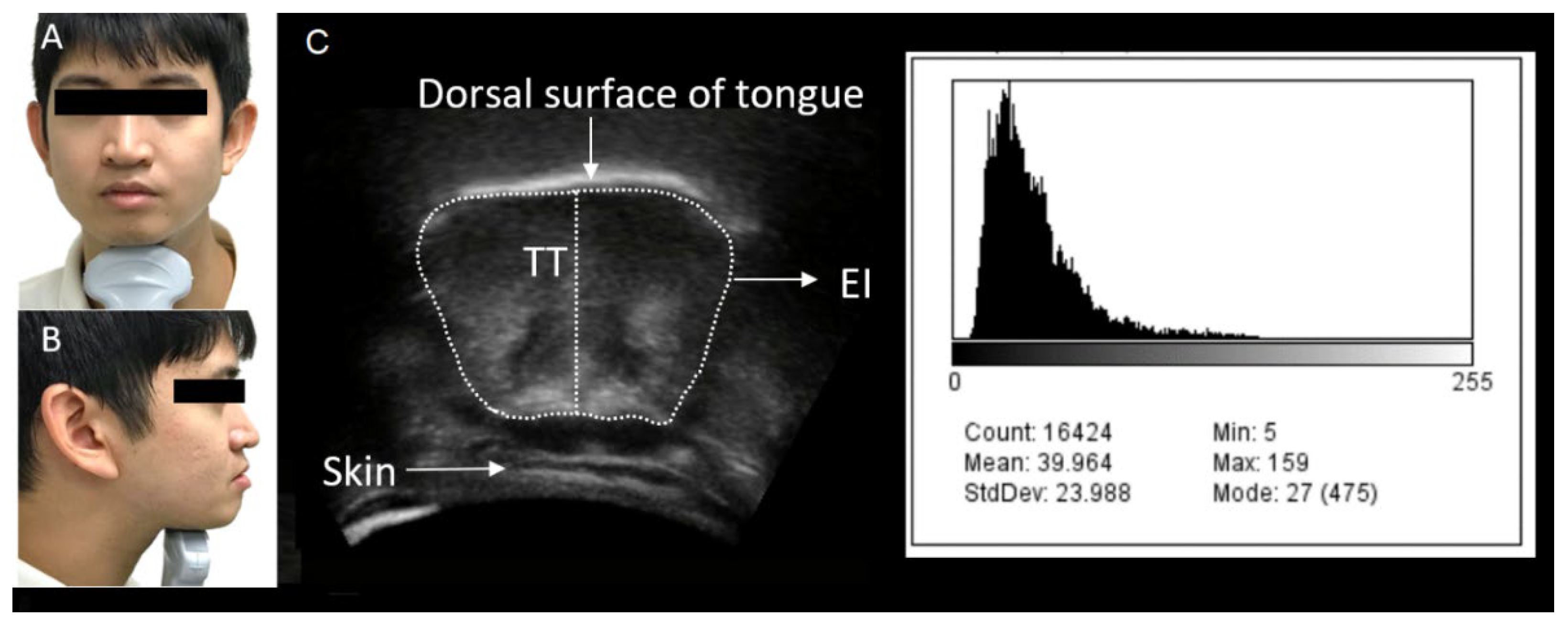 Diagnostics 12 00264 g001