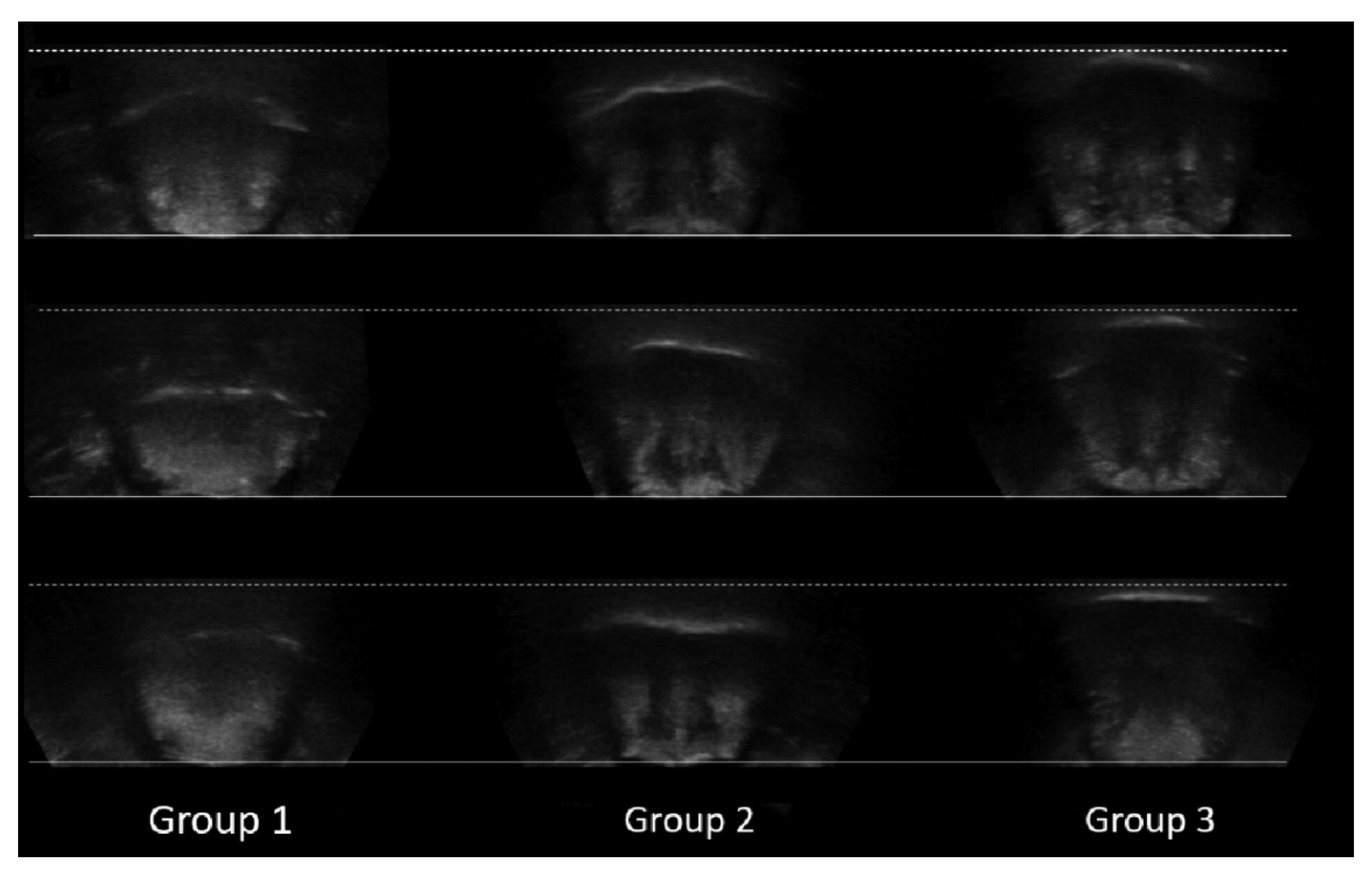 Diagnostics 12 00264 g005