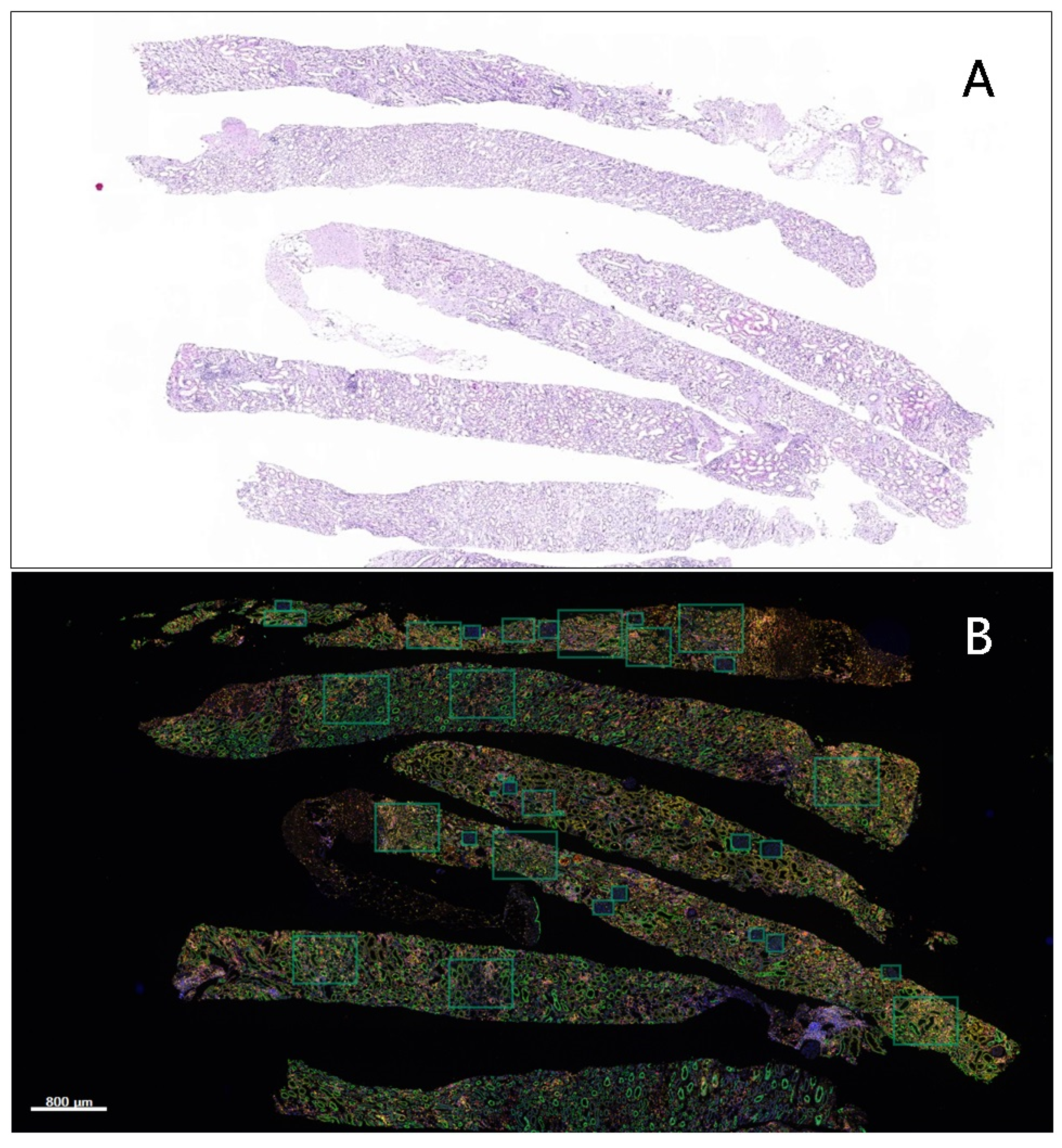 Diagnostics 12 00268 g002