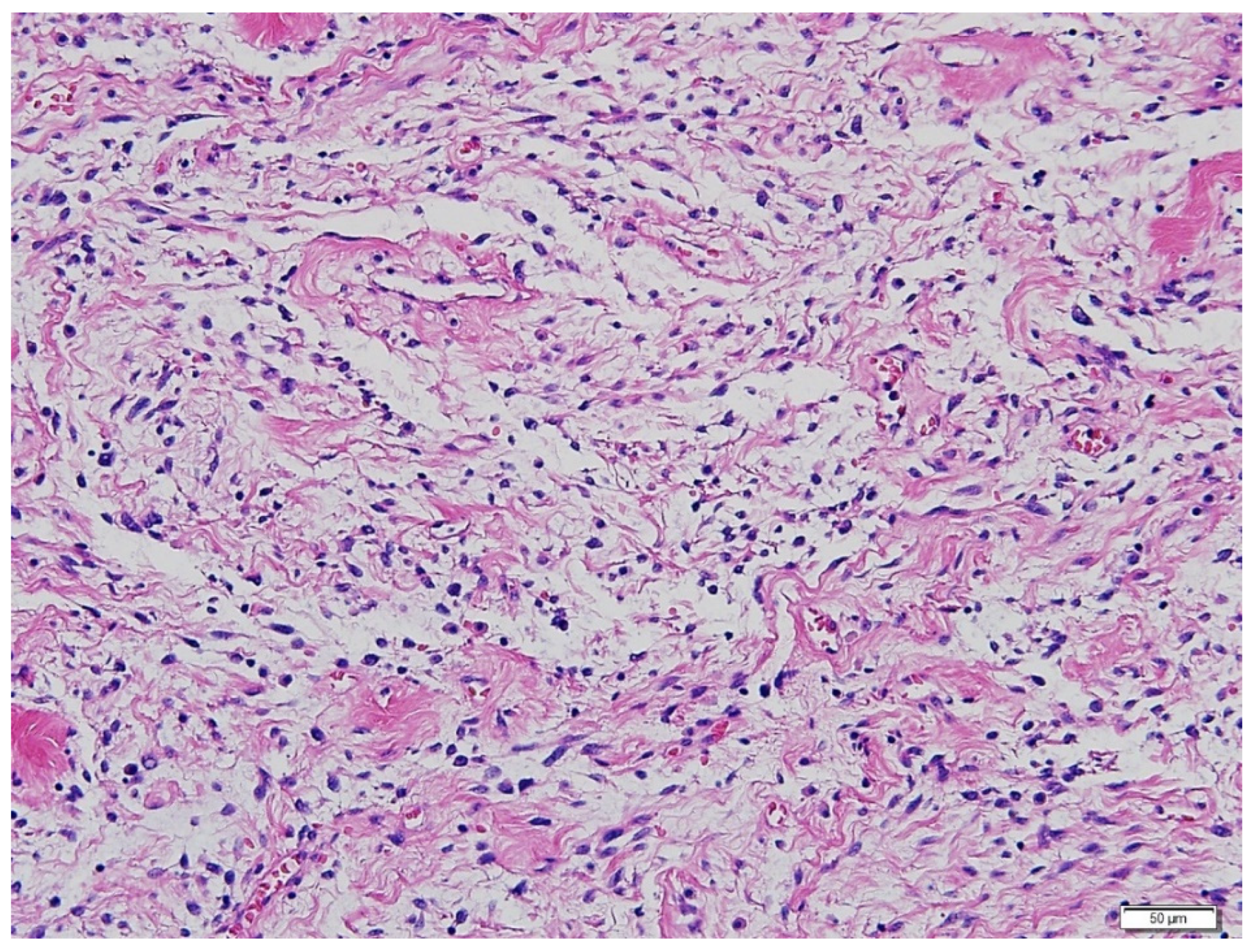 Diagnostics 12 00271 g003