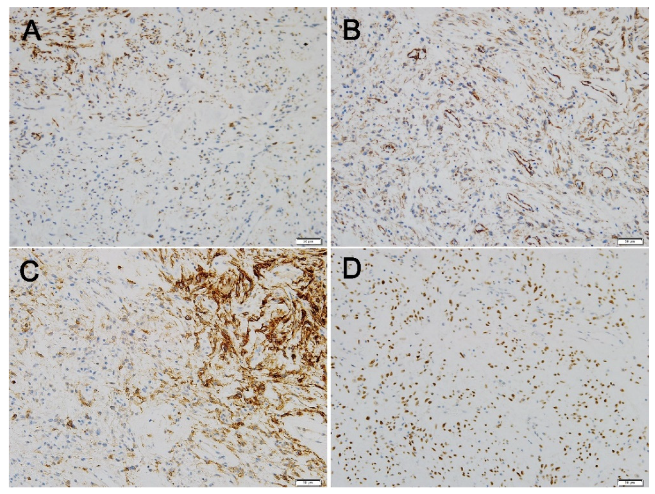 Diagnostics 12 00271 g004