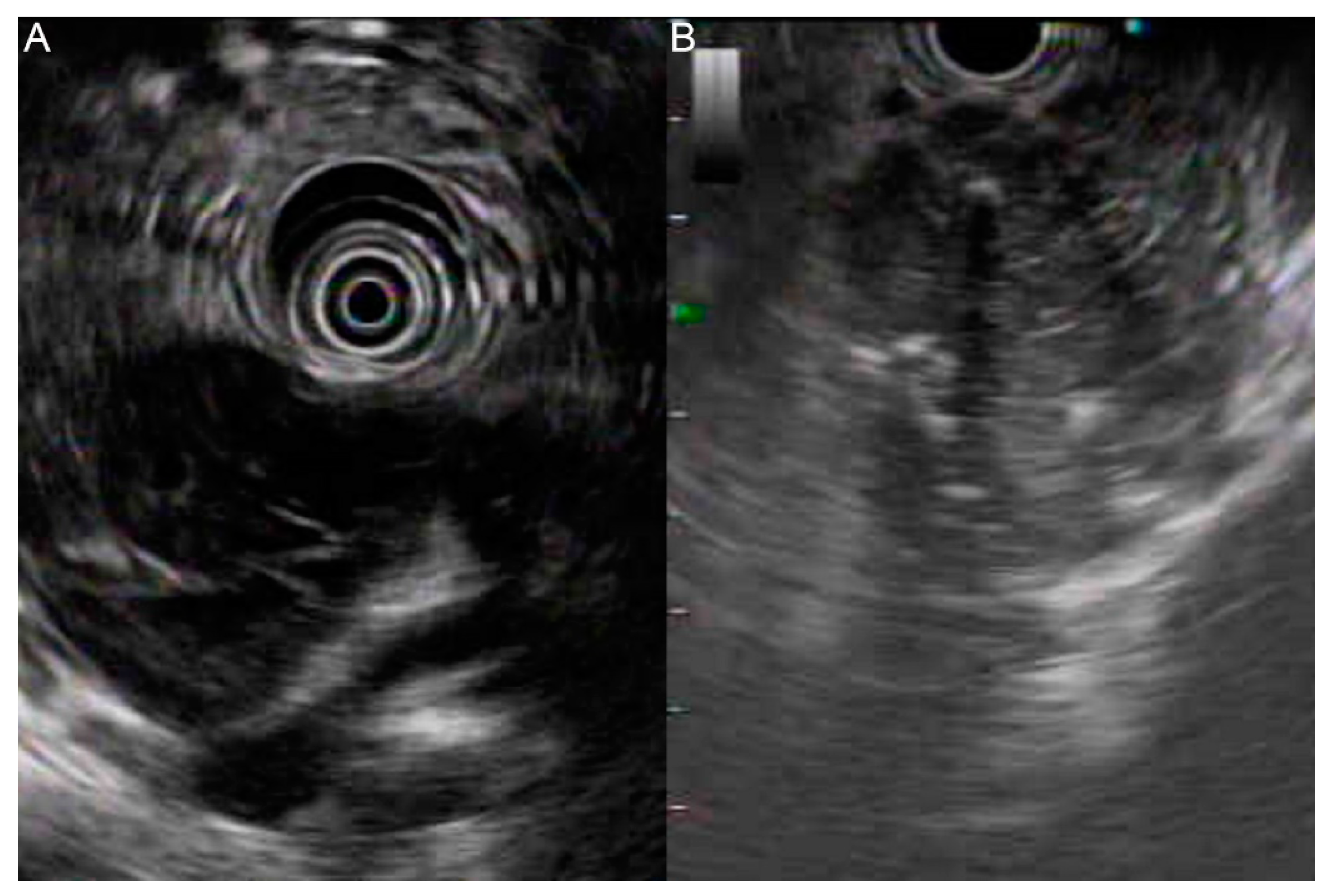Diagnostics 12 00282 g002
