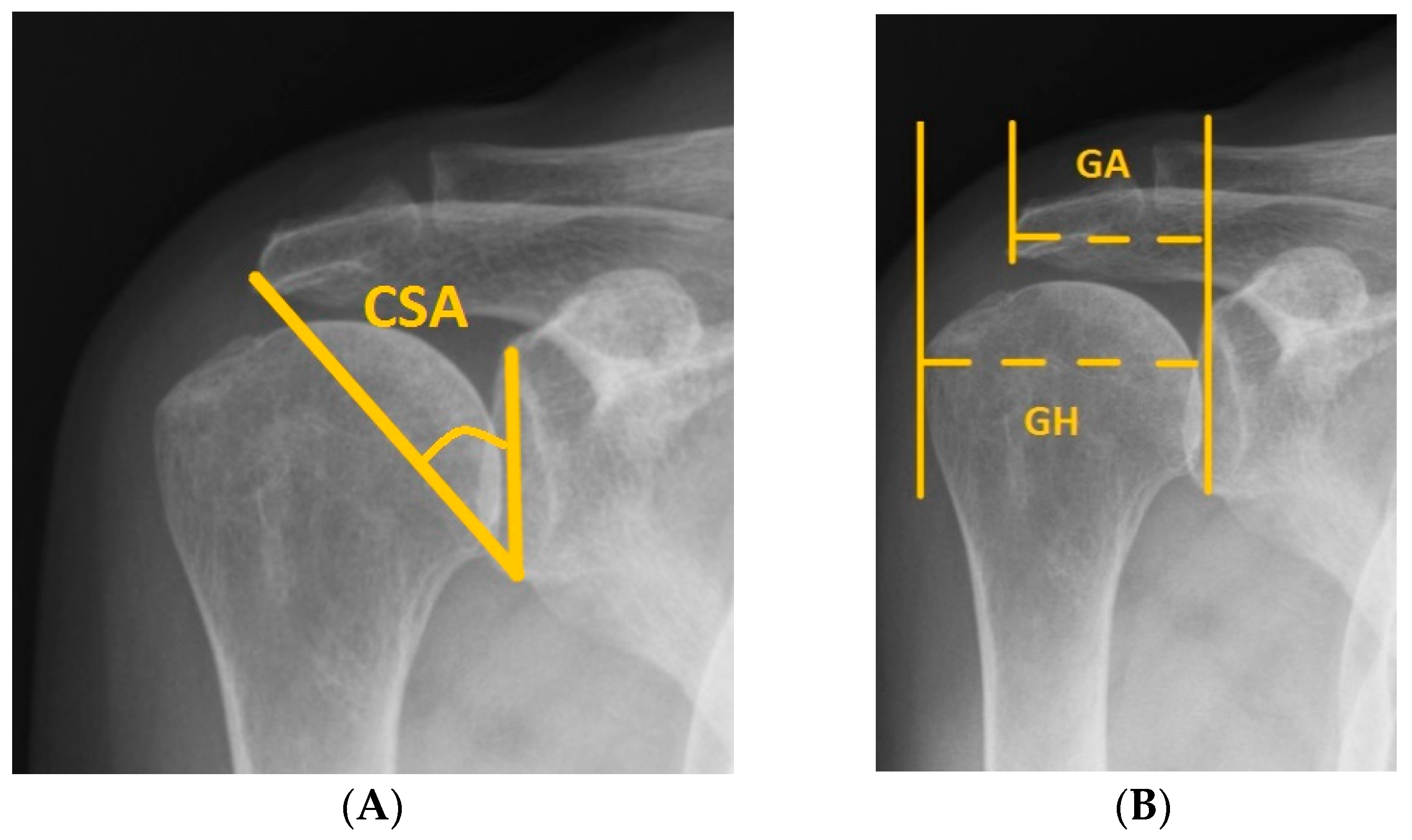Diagnostics 12 00283 g001