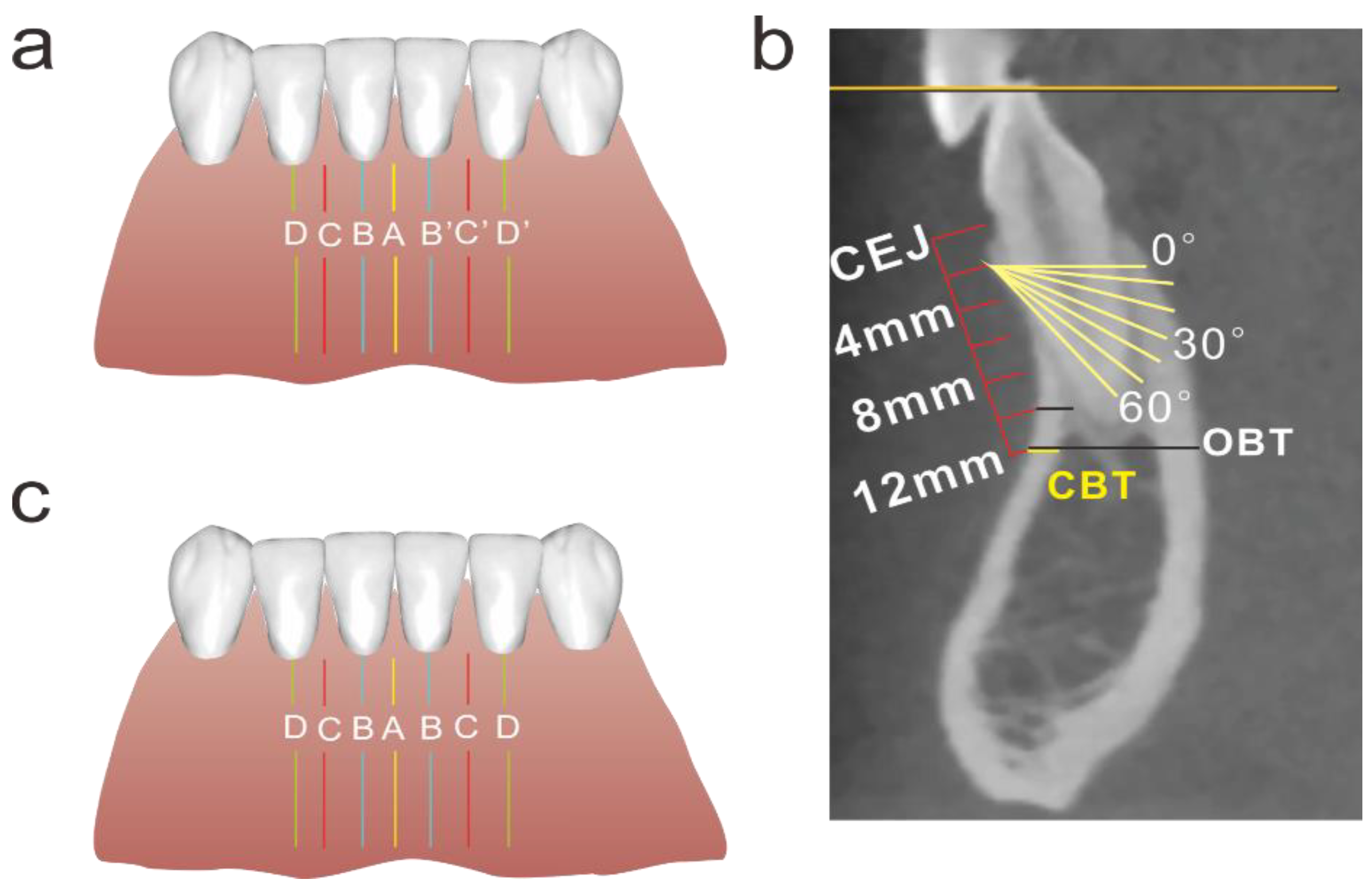 Diagnostics 12 00285 g001