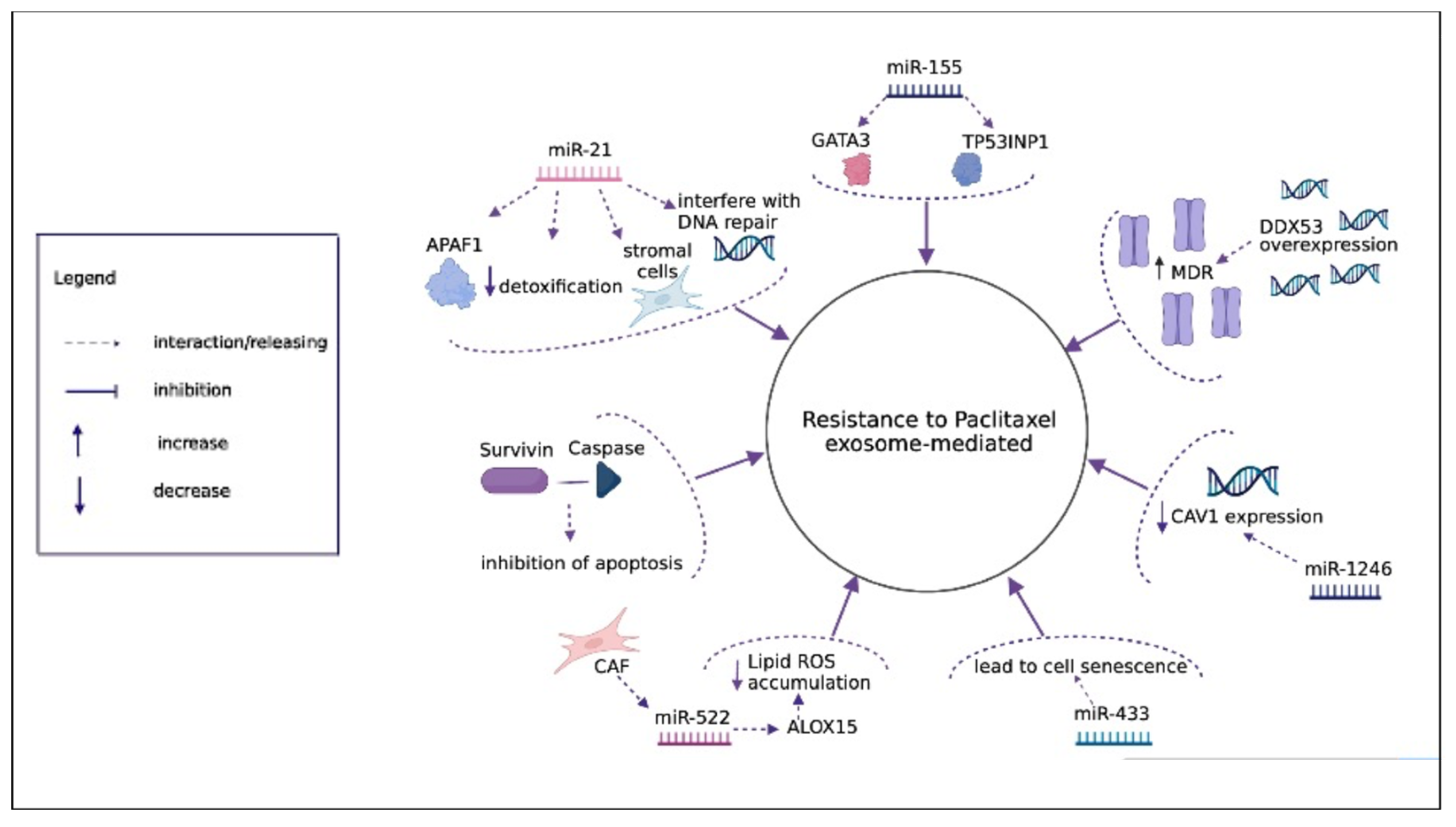 Diagnostics 12 00286 g003