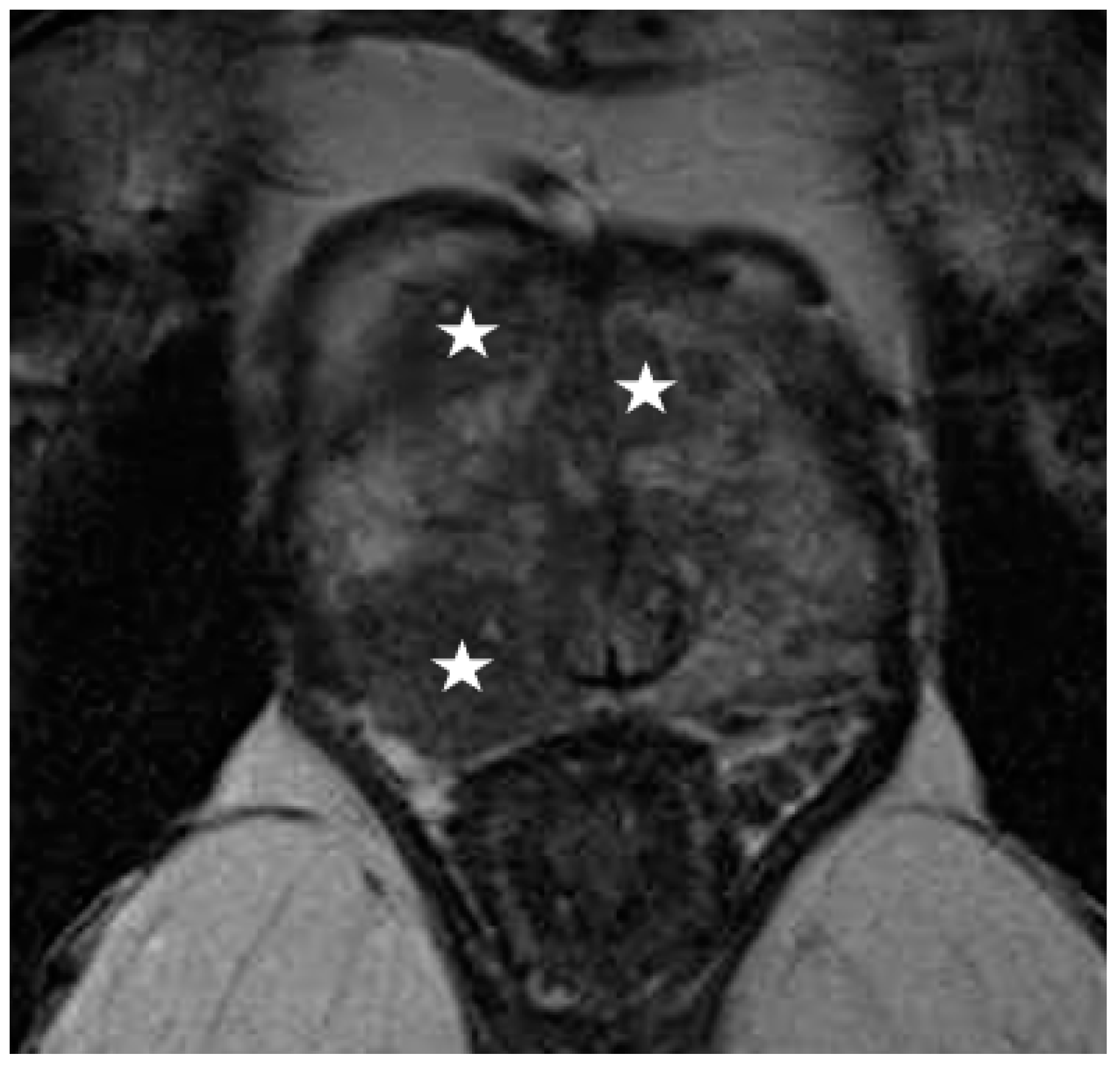 Diagnostics 12 00289 g002