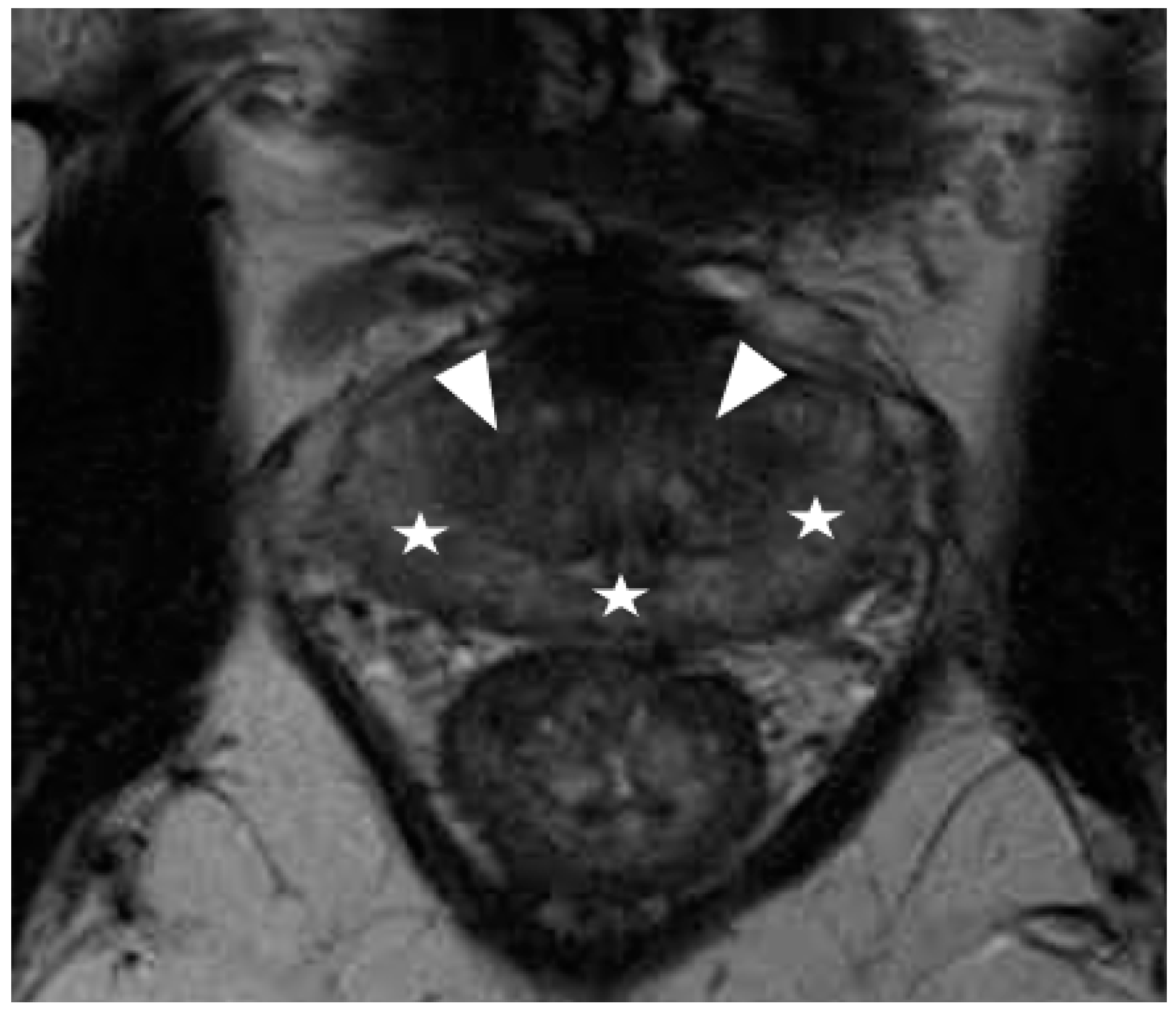 Diagnostics 12 00289 g003