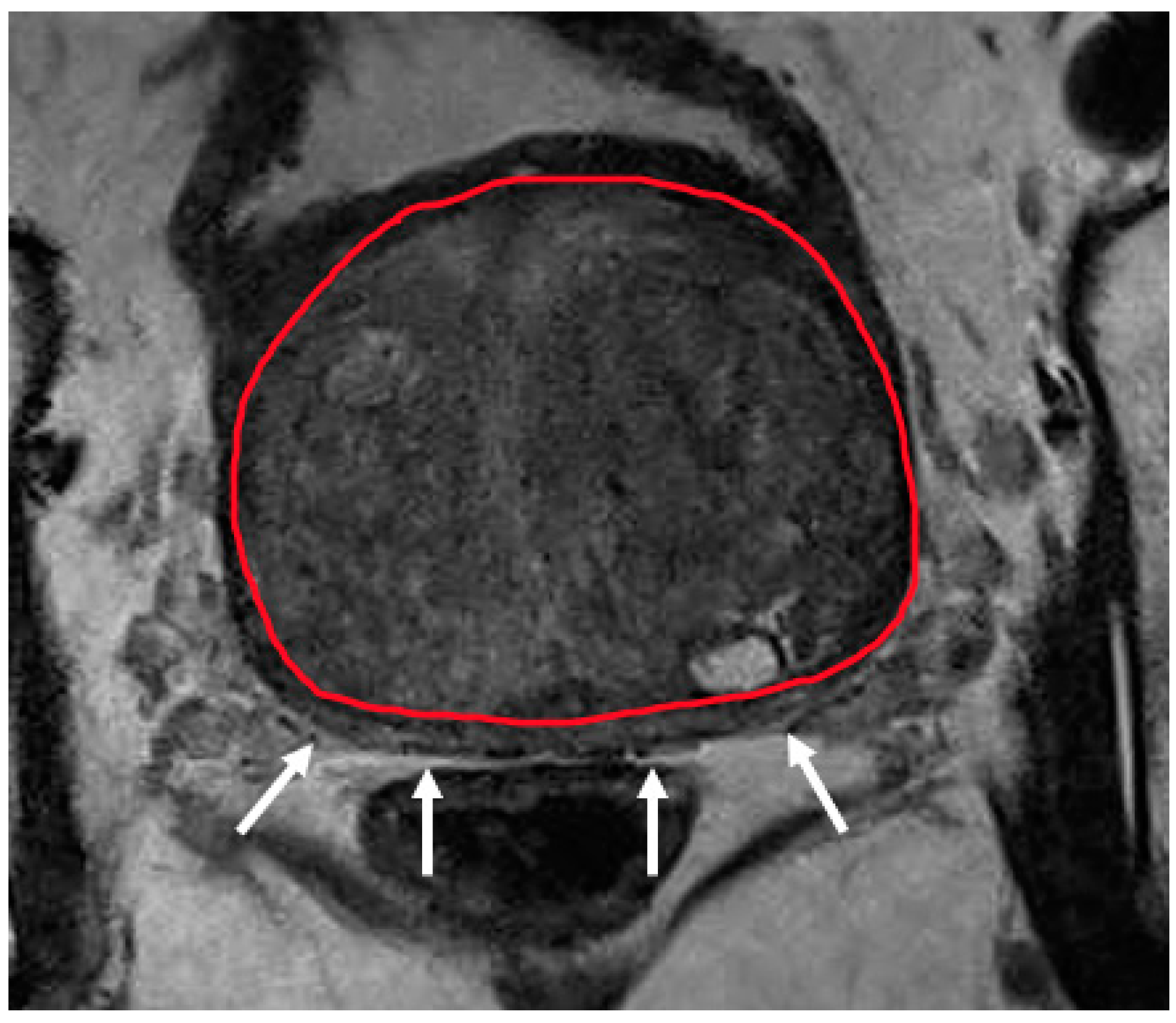 Diagnostics 12 00289 g004