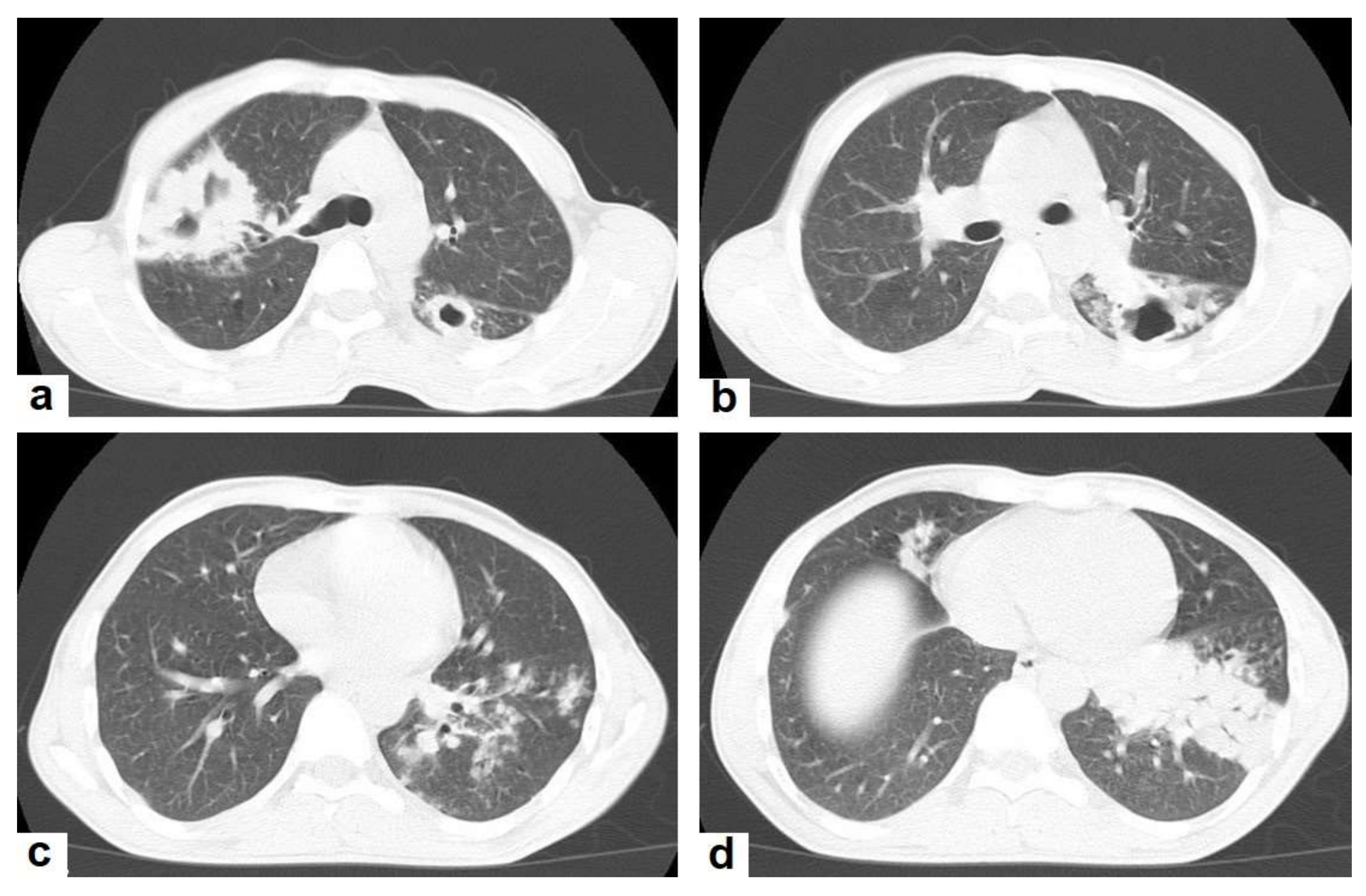Diagnostics 12 00306 g003