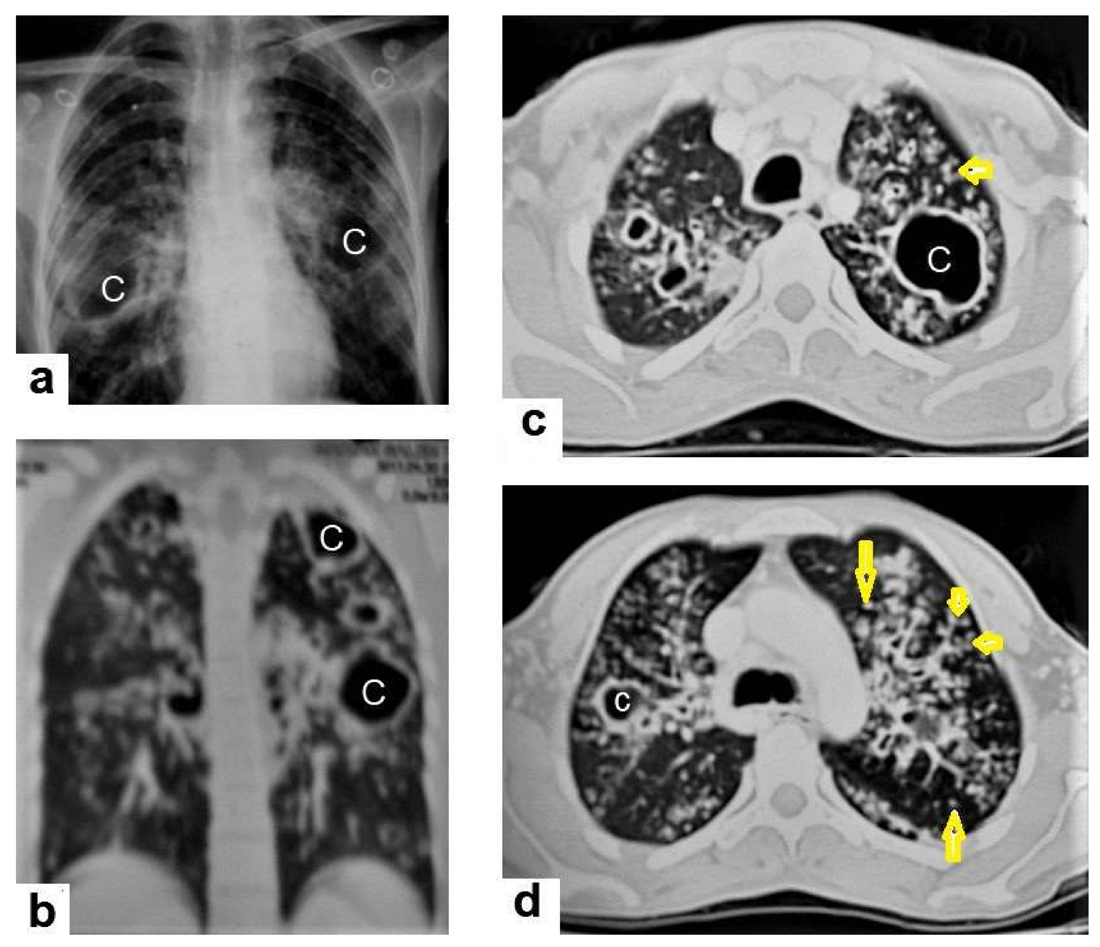 Diagnostics 12 00306 g004