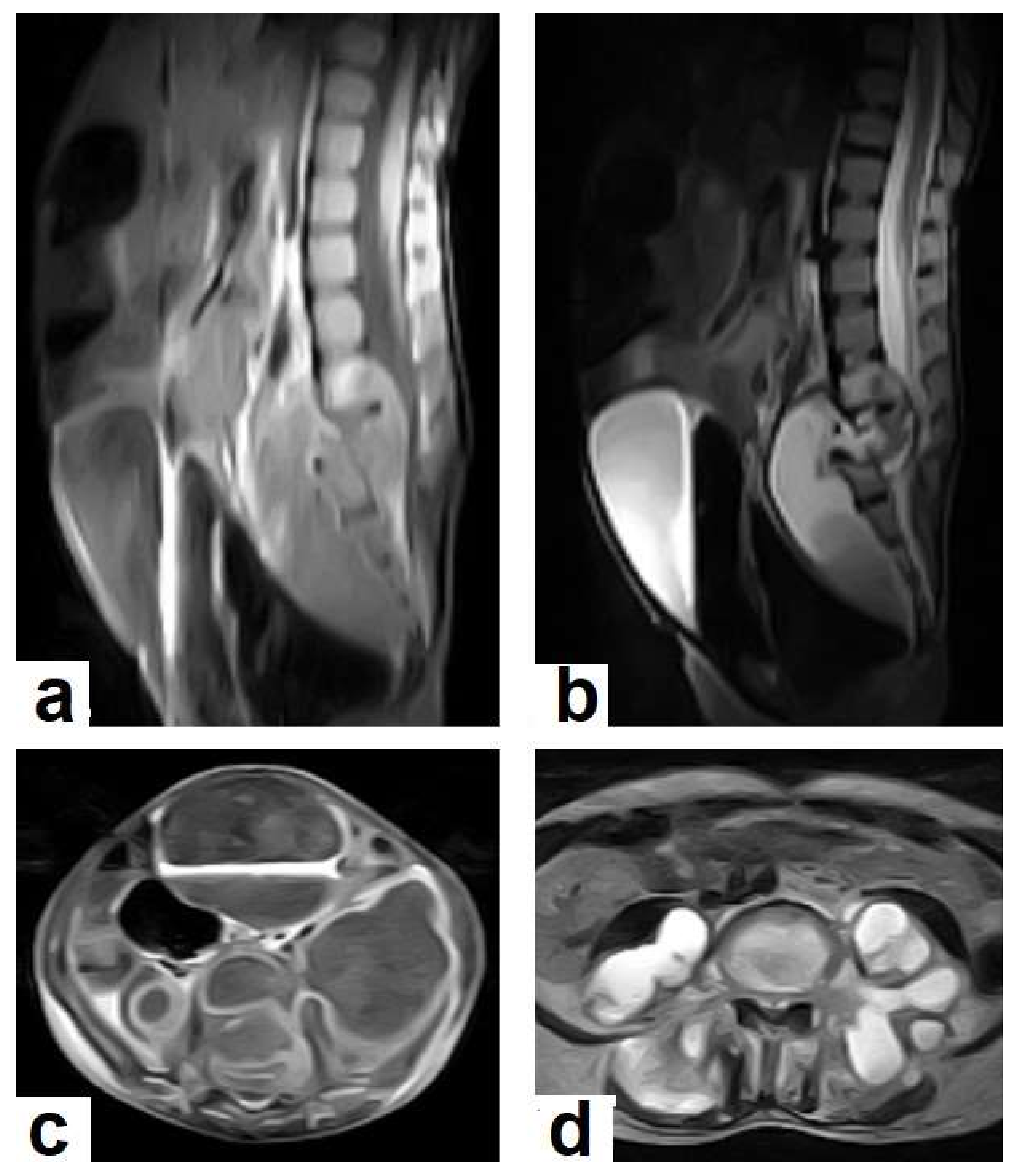 Diagnostics 12 00306 g019
