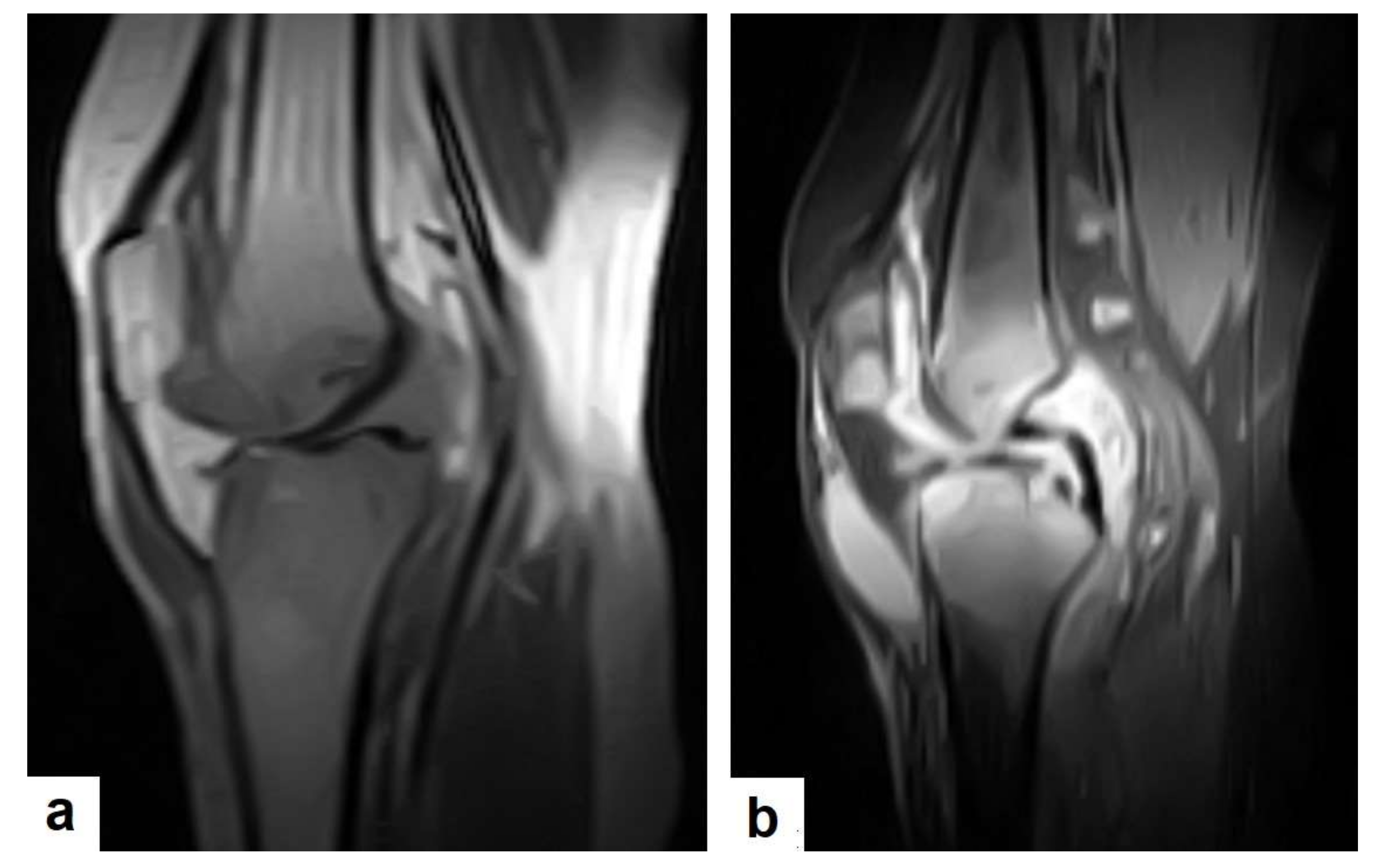 Diagnostics 12 00306 g024
