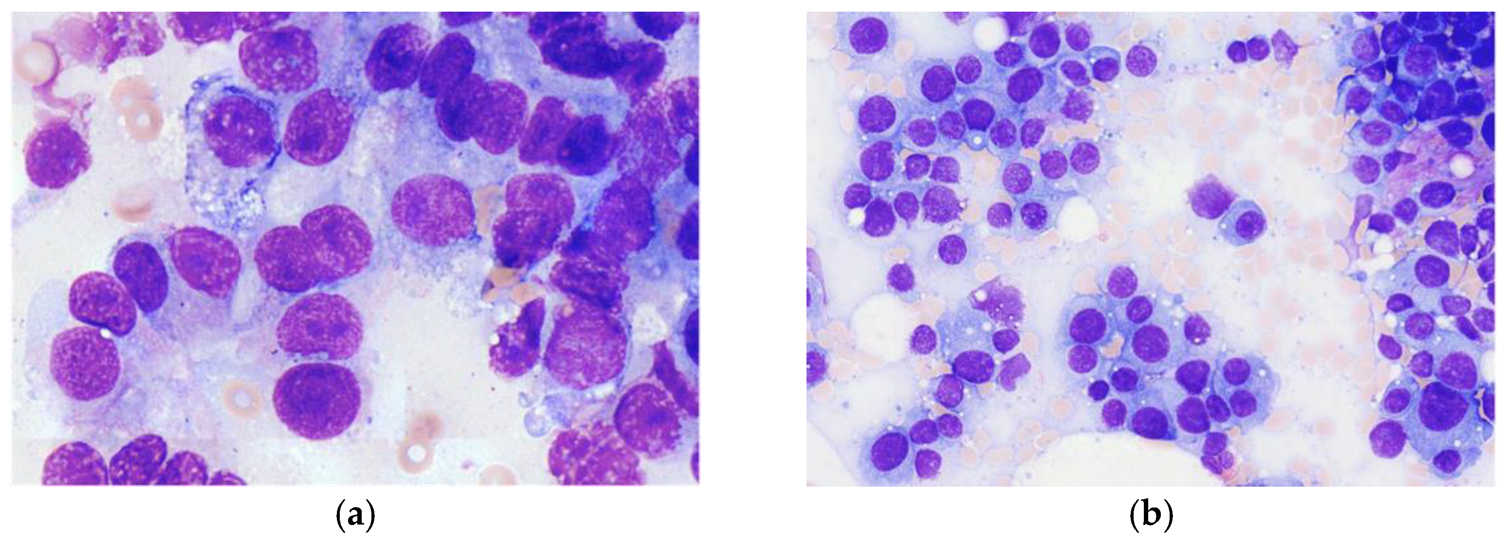 Diagnostics 12 00310 g001 Diagnostics 12 00310 g001