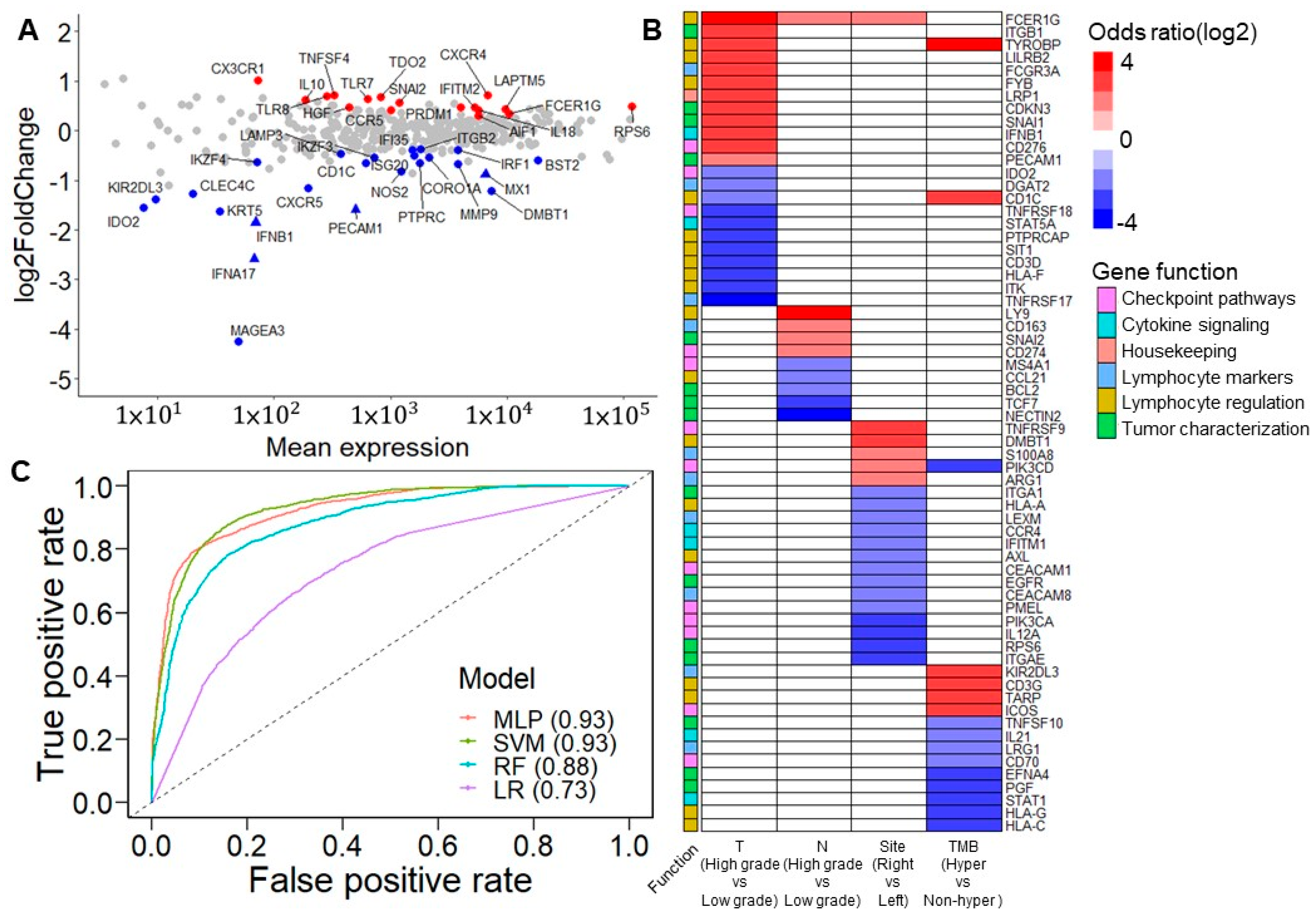 Diagnostics 12 00315 g003