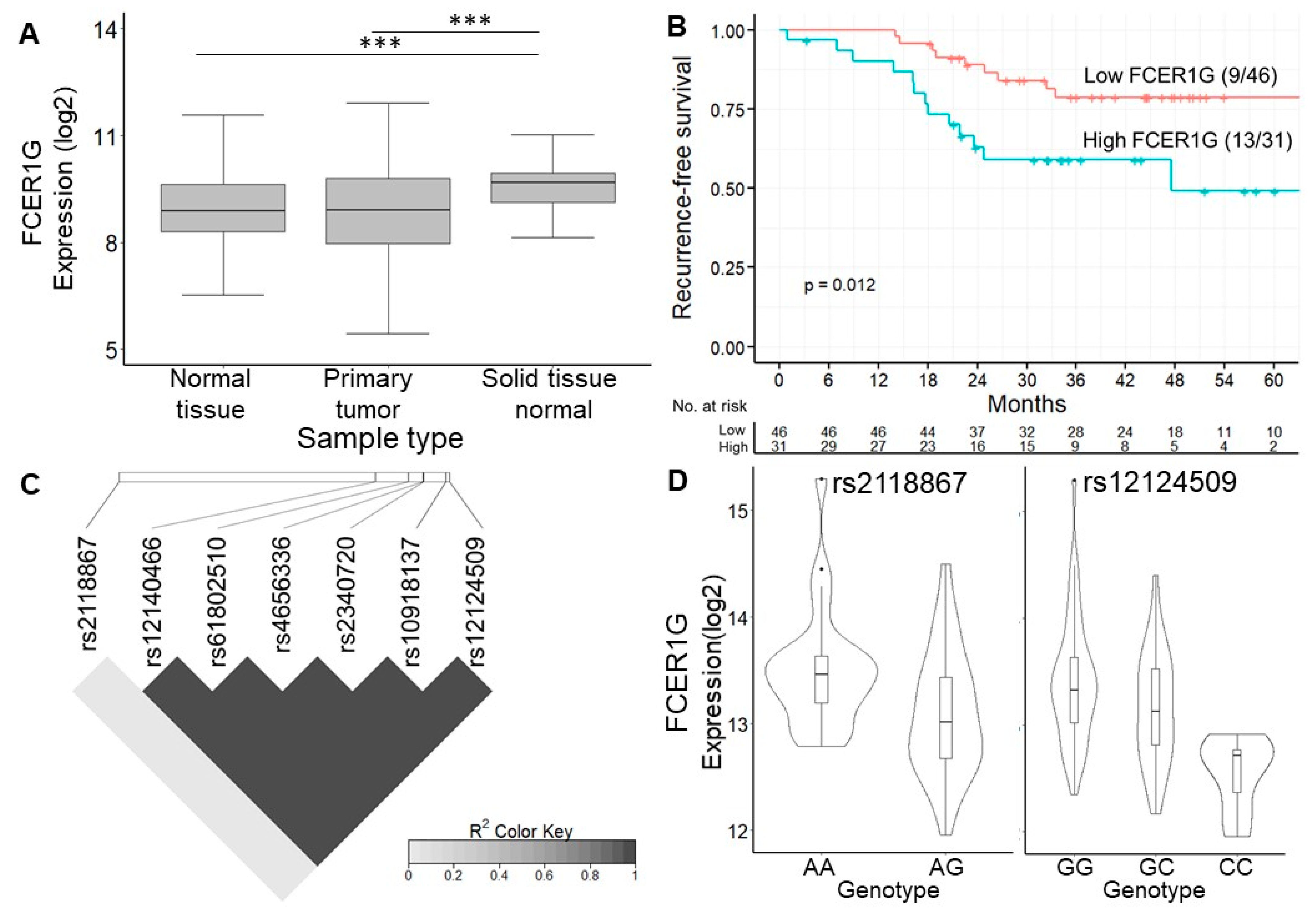 Diagnostics 12 00315 g004