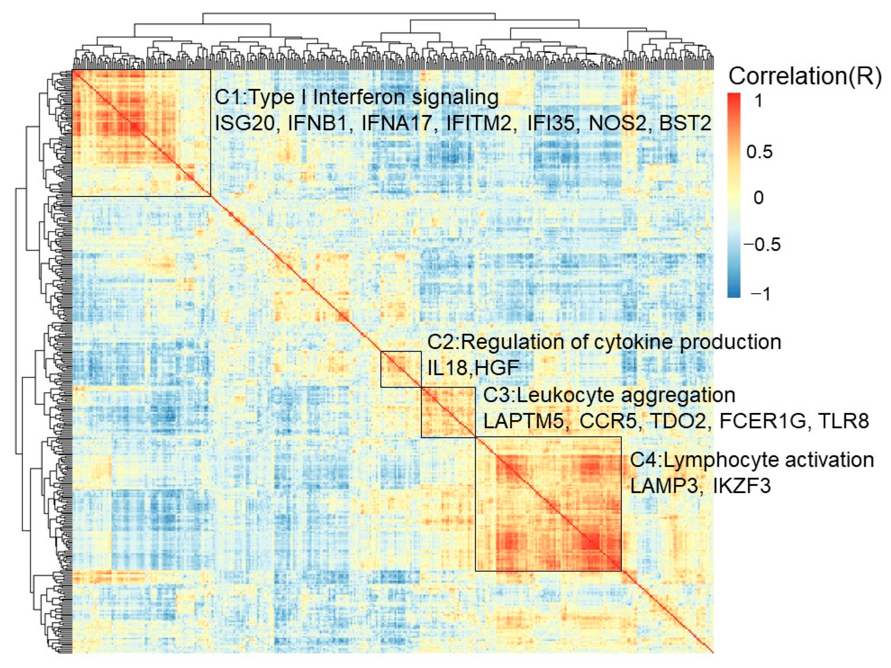 Diagnostics 12 00315 g005