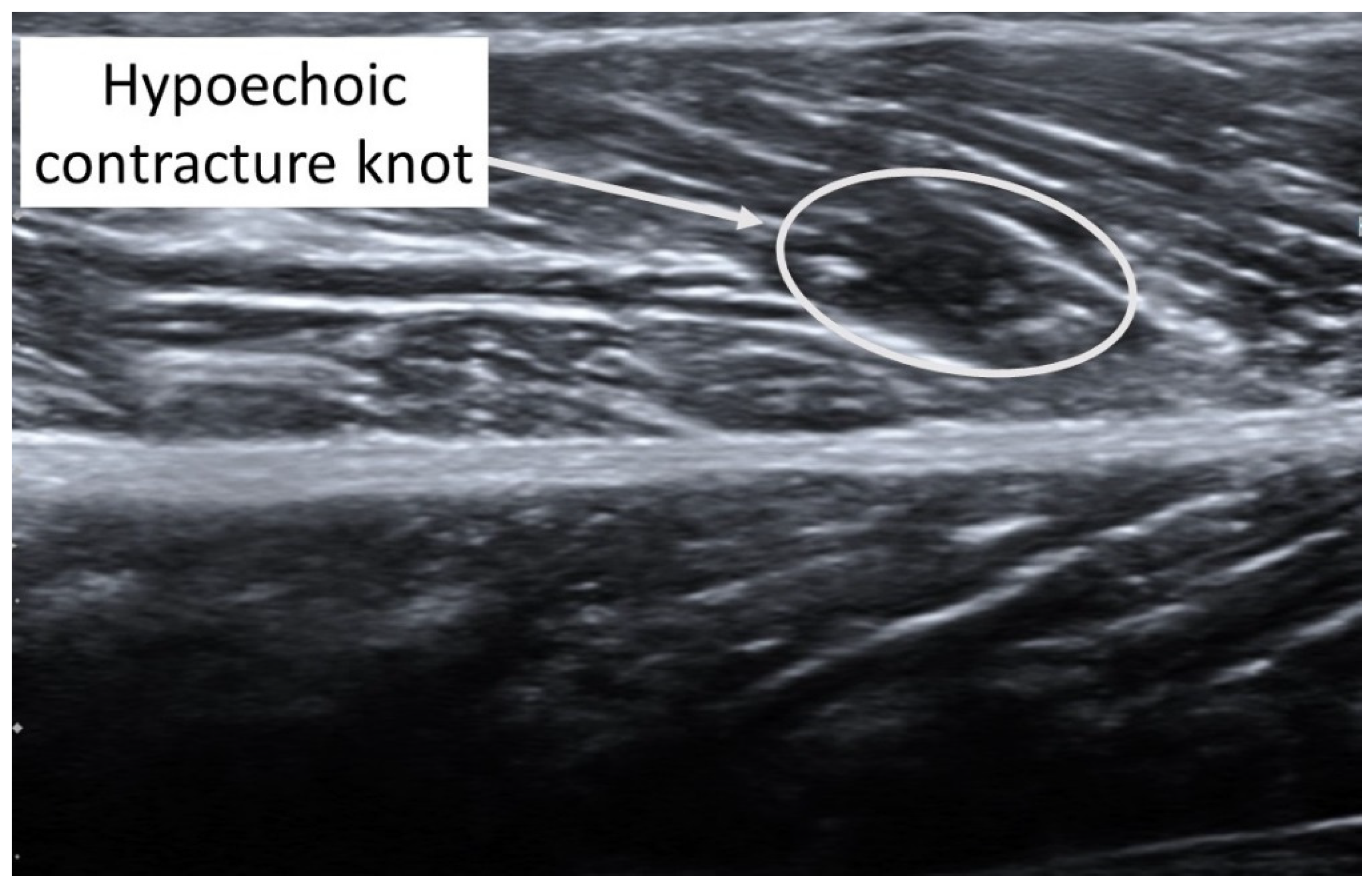 Diagnostics 12 00321 g001