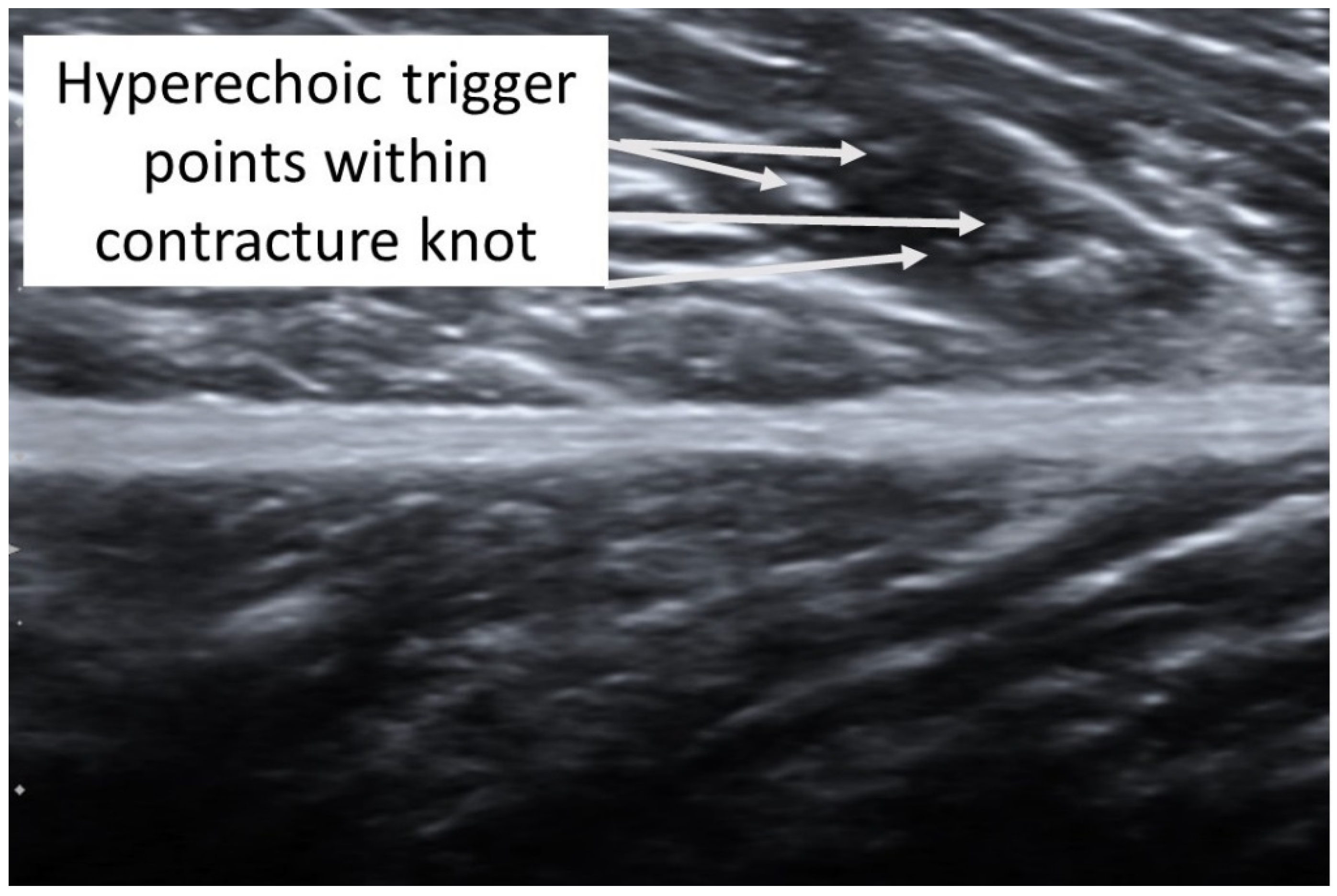 Diagnostics 12 00321 g002
