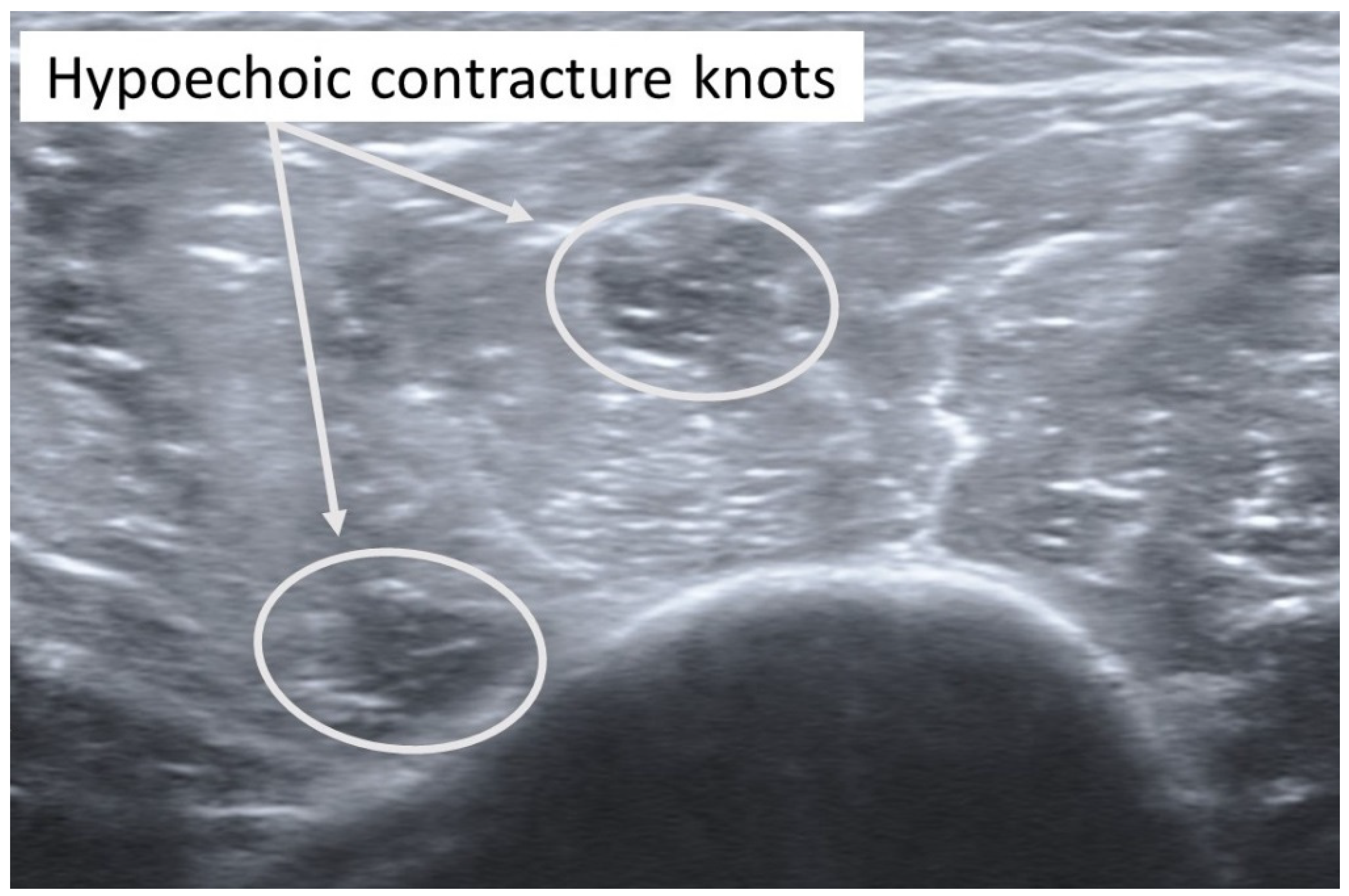 Diagnostics 12 00321 g003