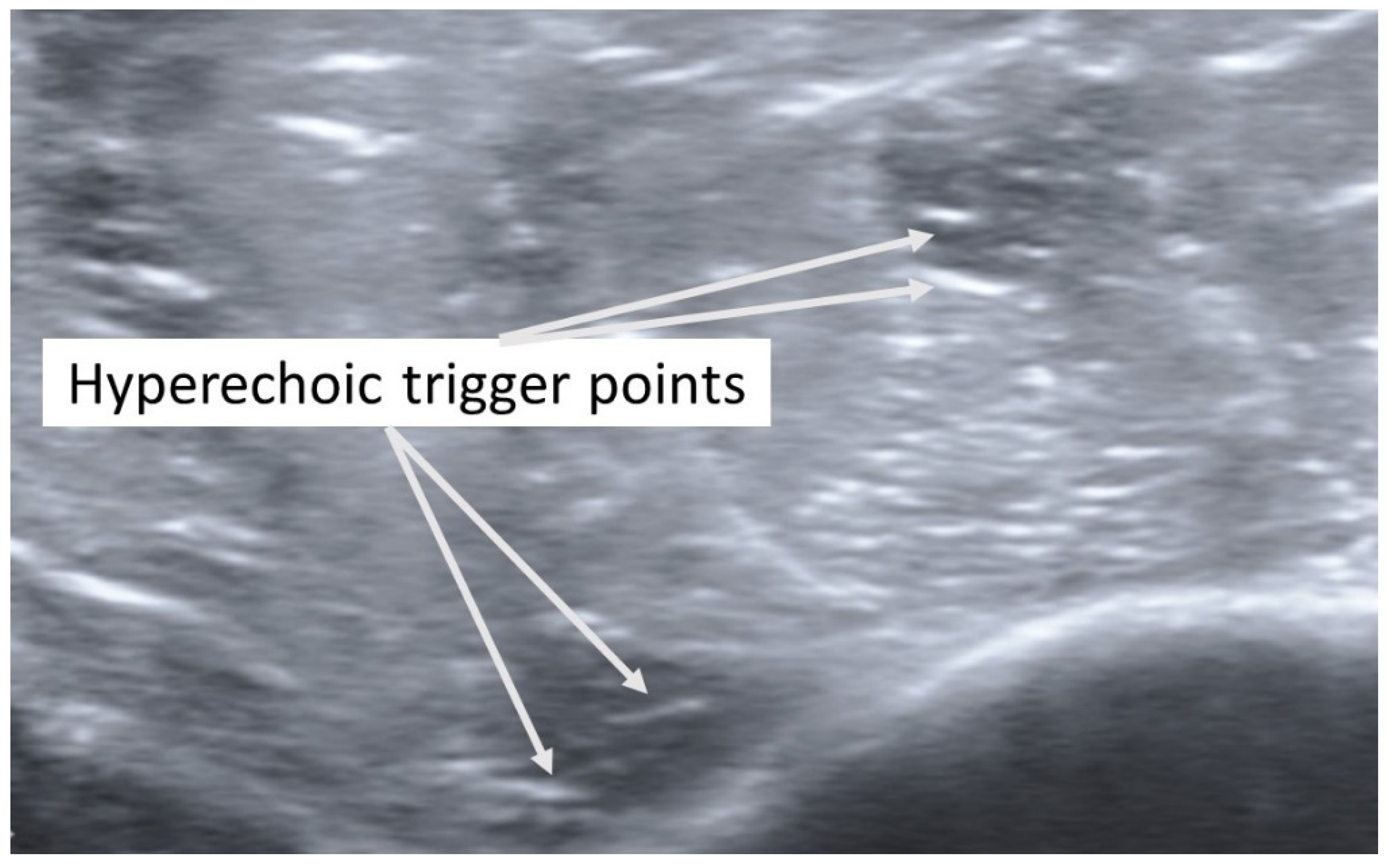 Diagnostics 12 00321 g004